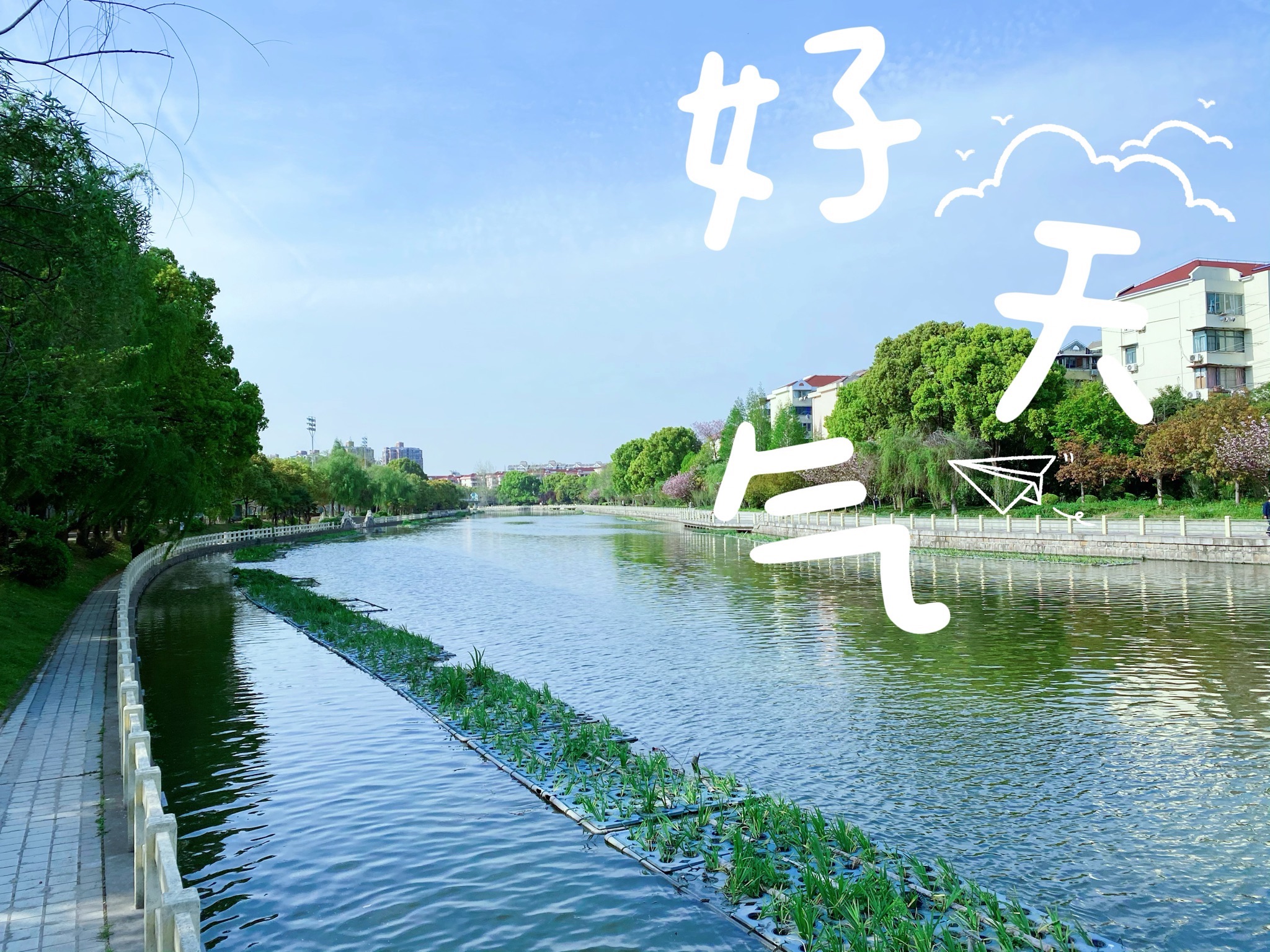 普陀区体育公园旅行图片 3
