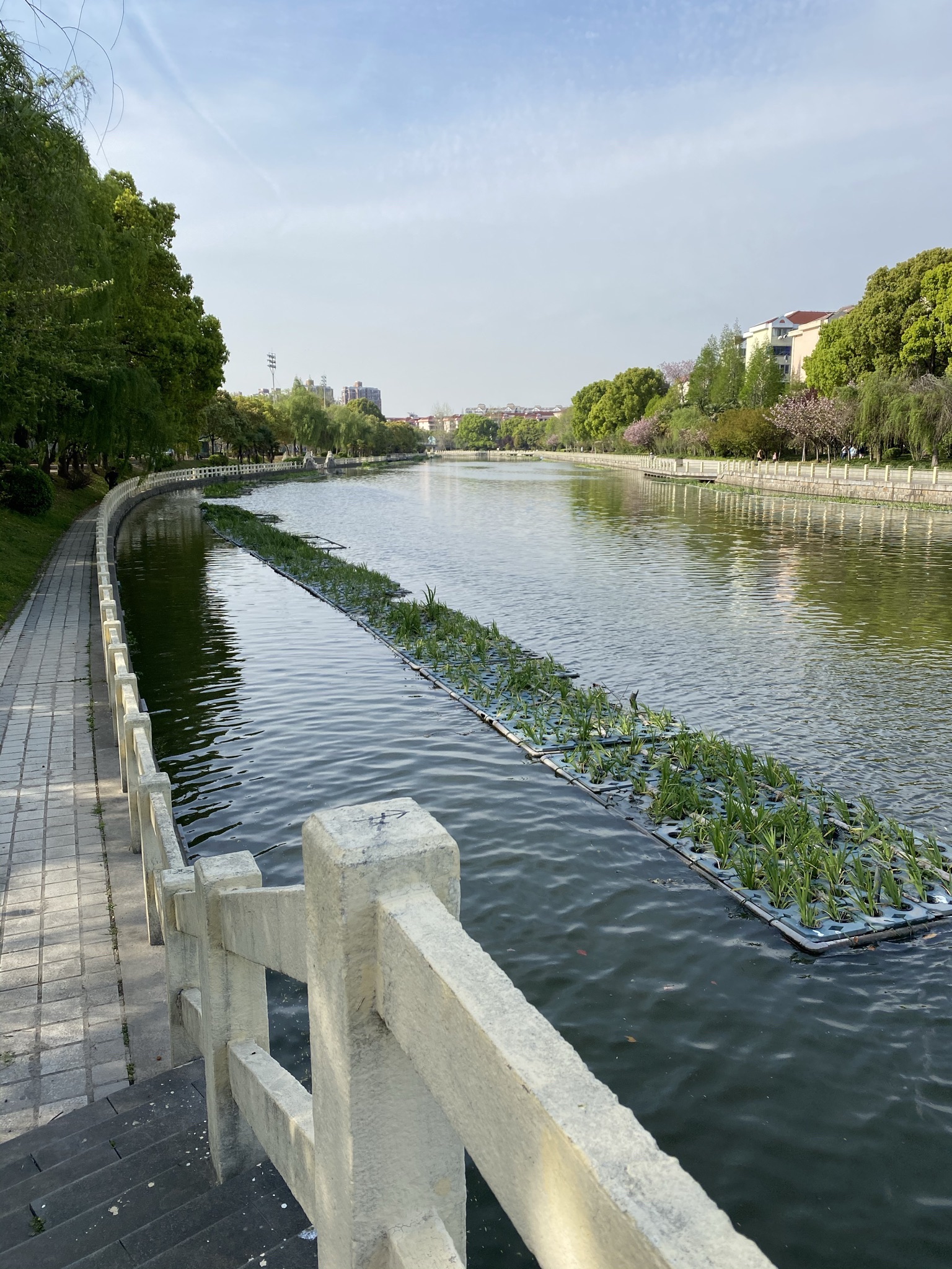 普陀区体育公园旅行图片 1