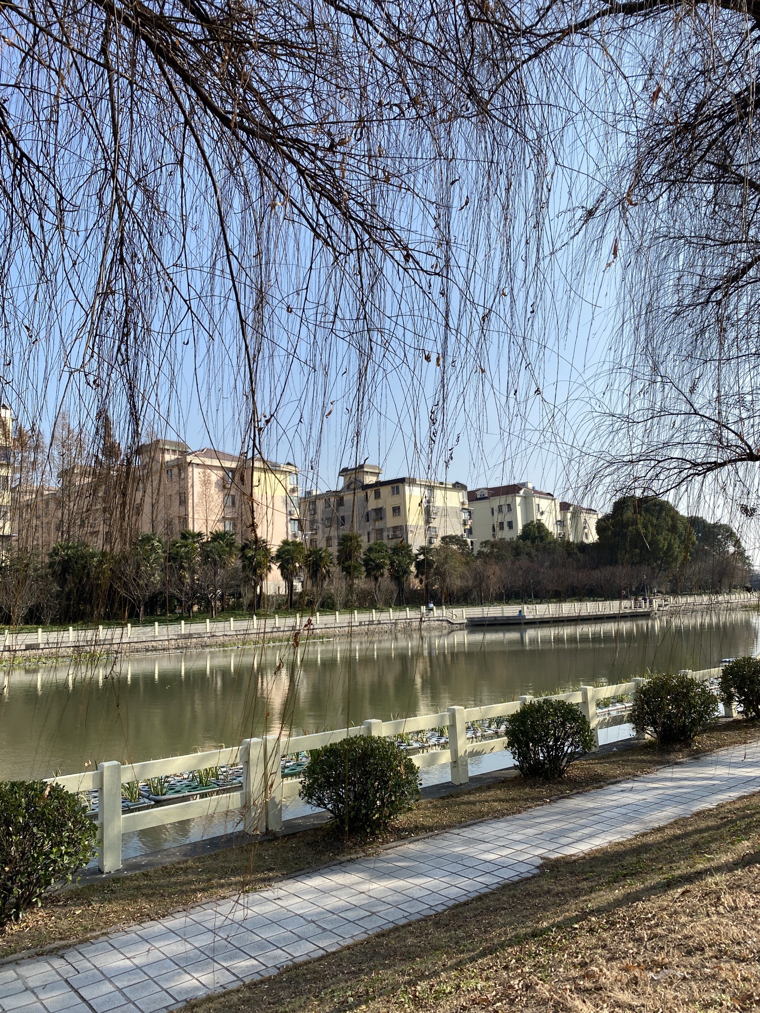 普陀区体育公园旅行图片 1