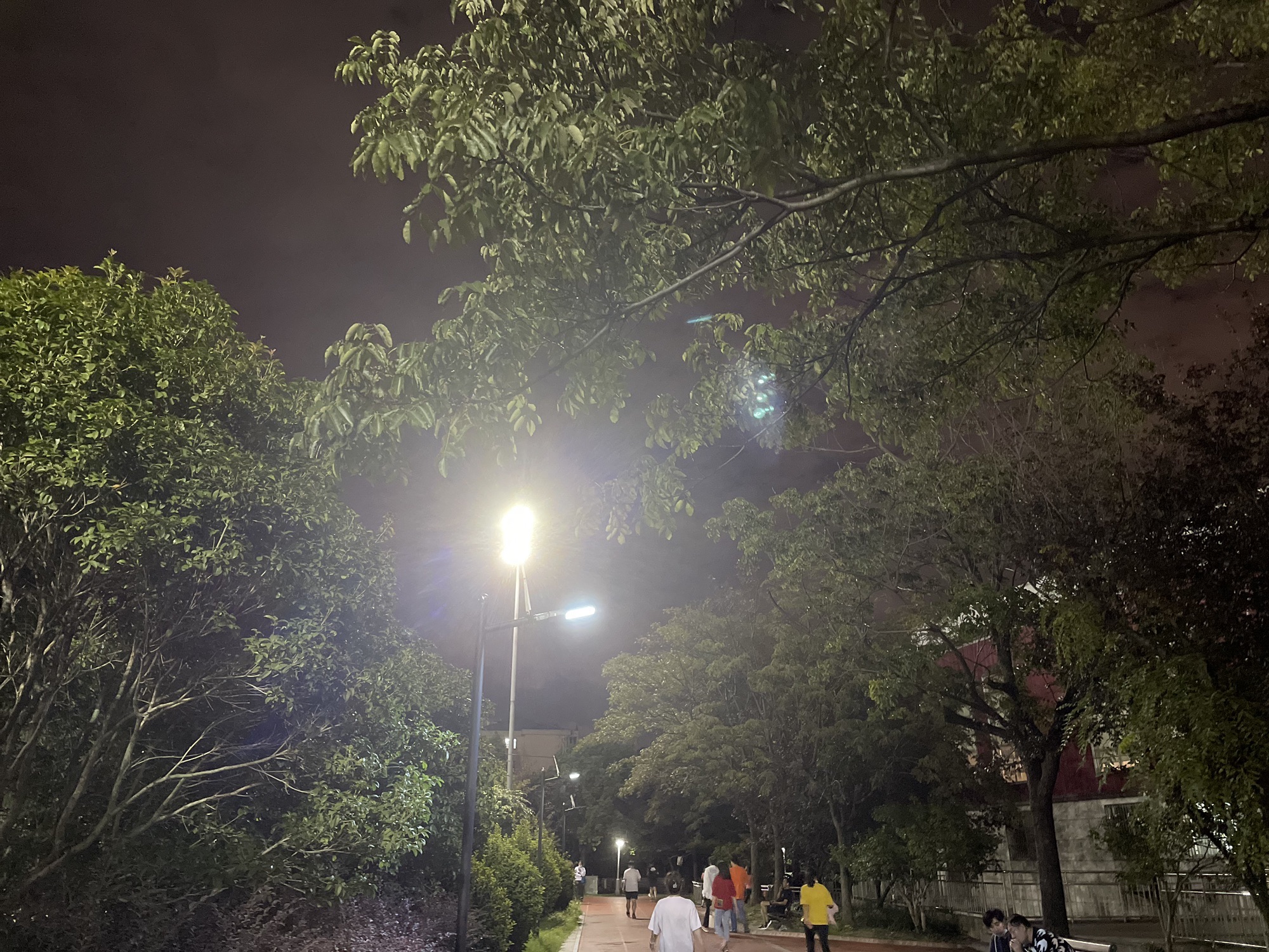 普陀区体育公园旅行图片 3