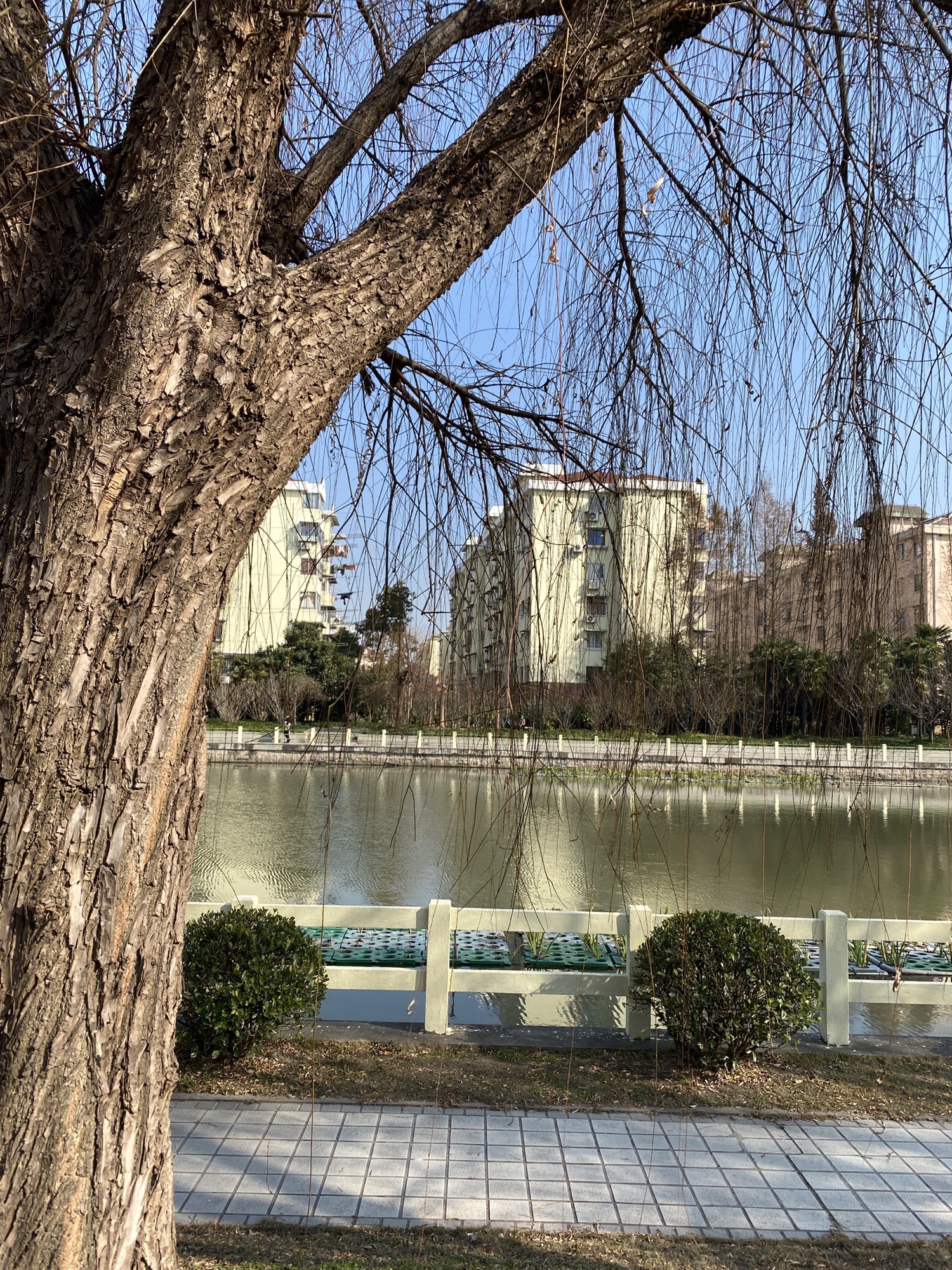 普陀区体育公园旅行图片 2
