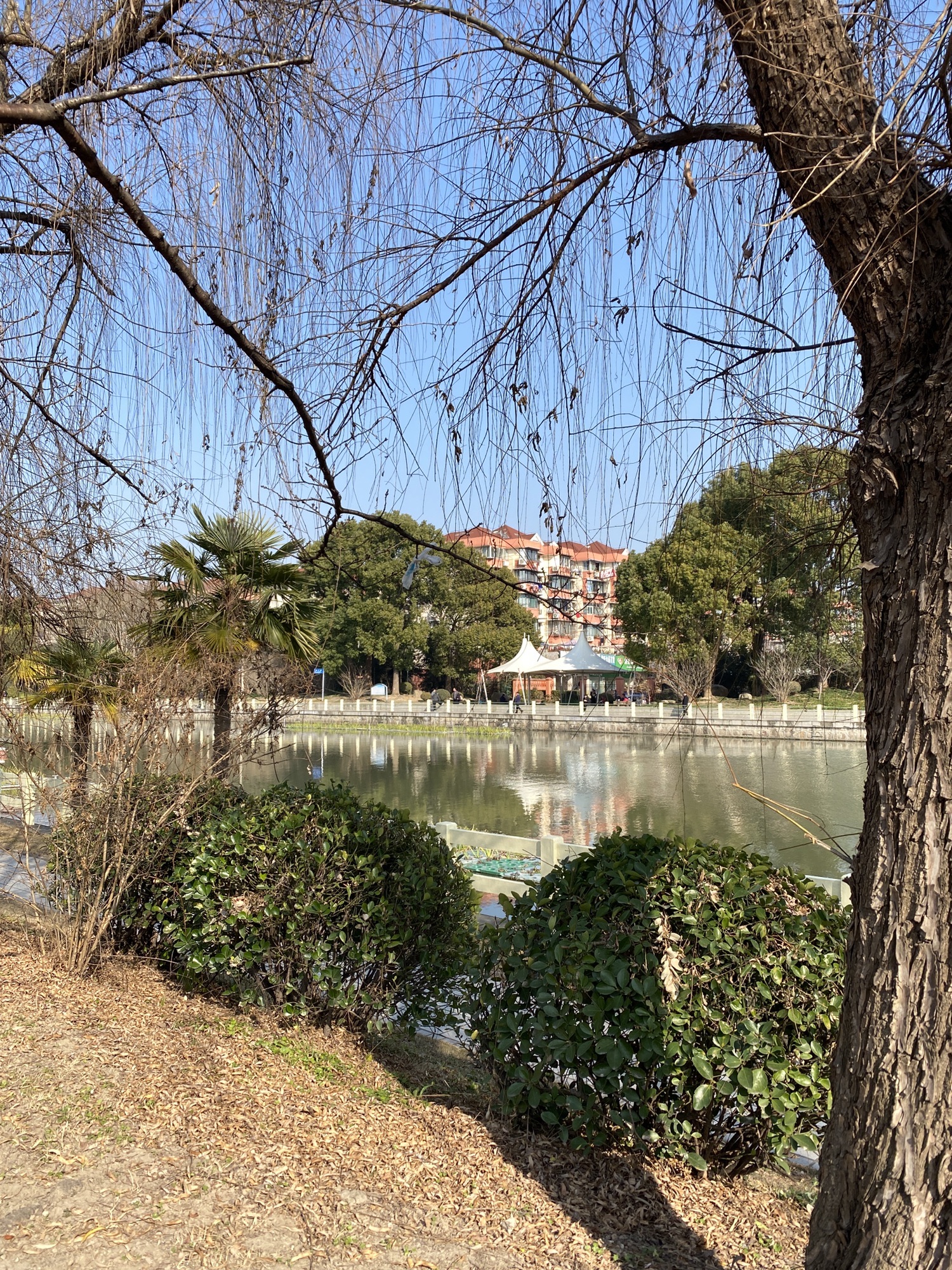 普陀区体育公园旅行图片 3