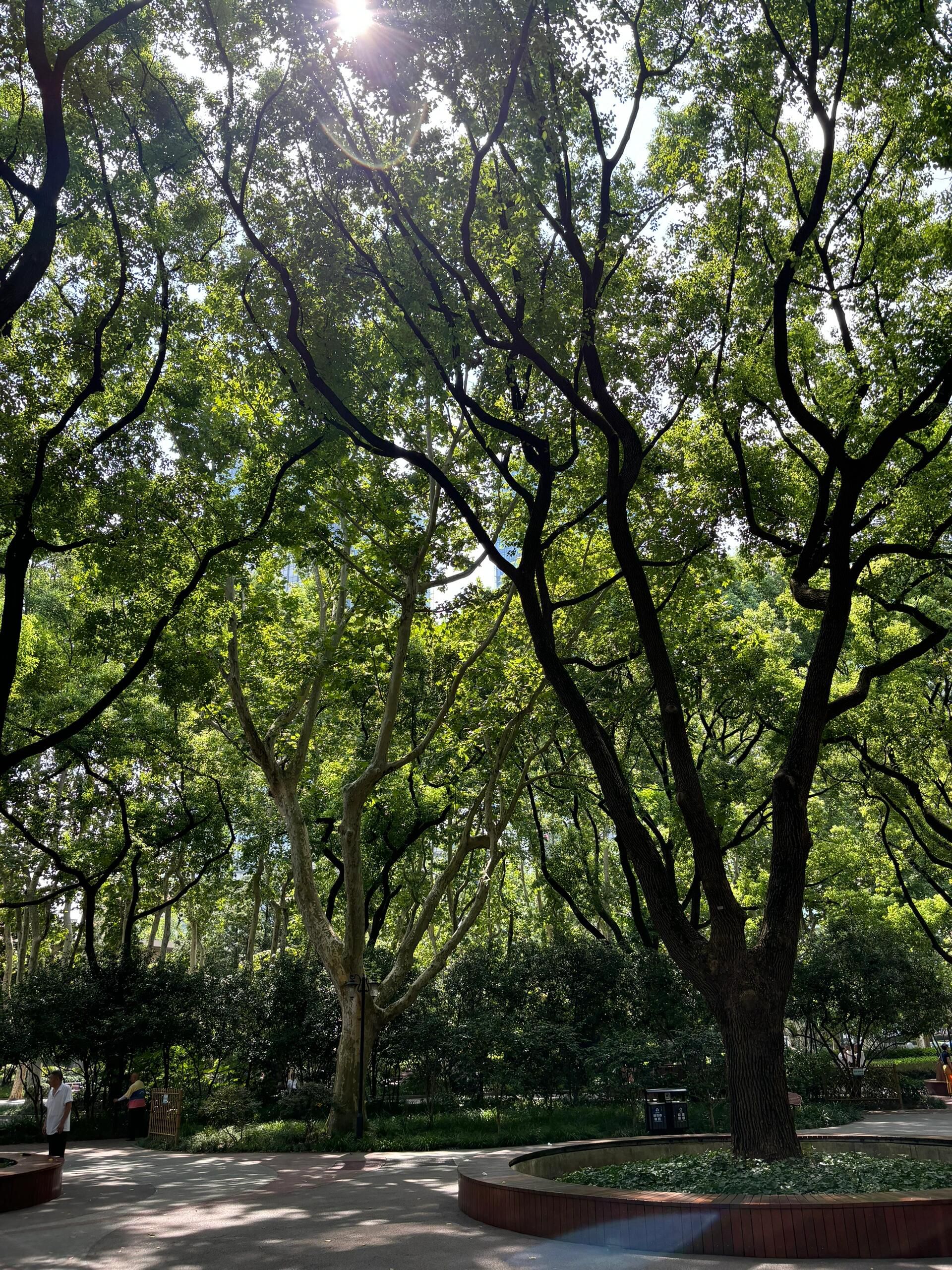 襄阳公园旅行图片 1