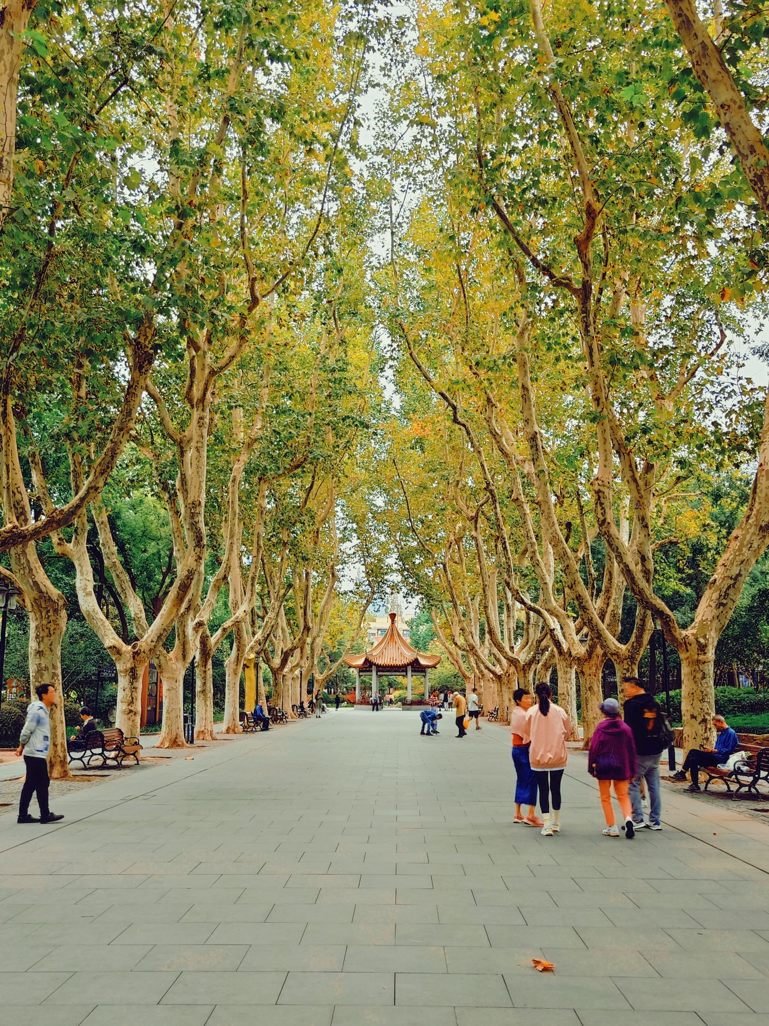襄阳公园旅行图片 2