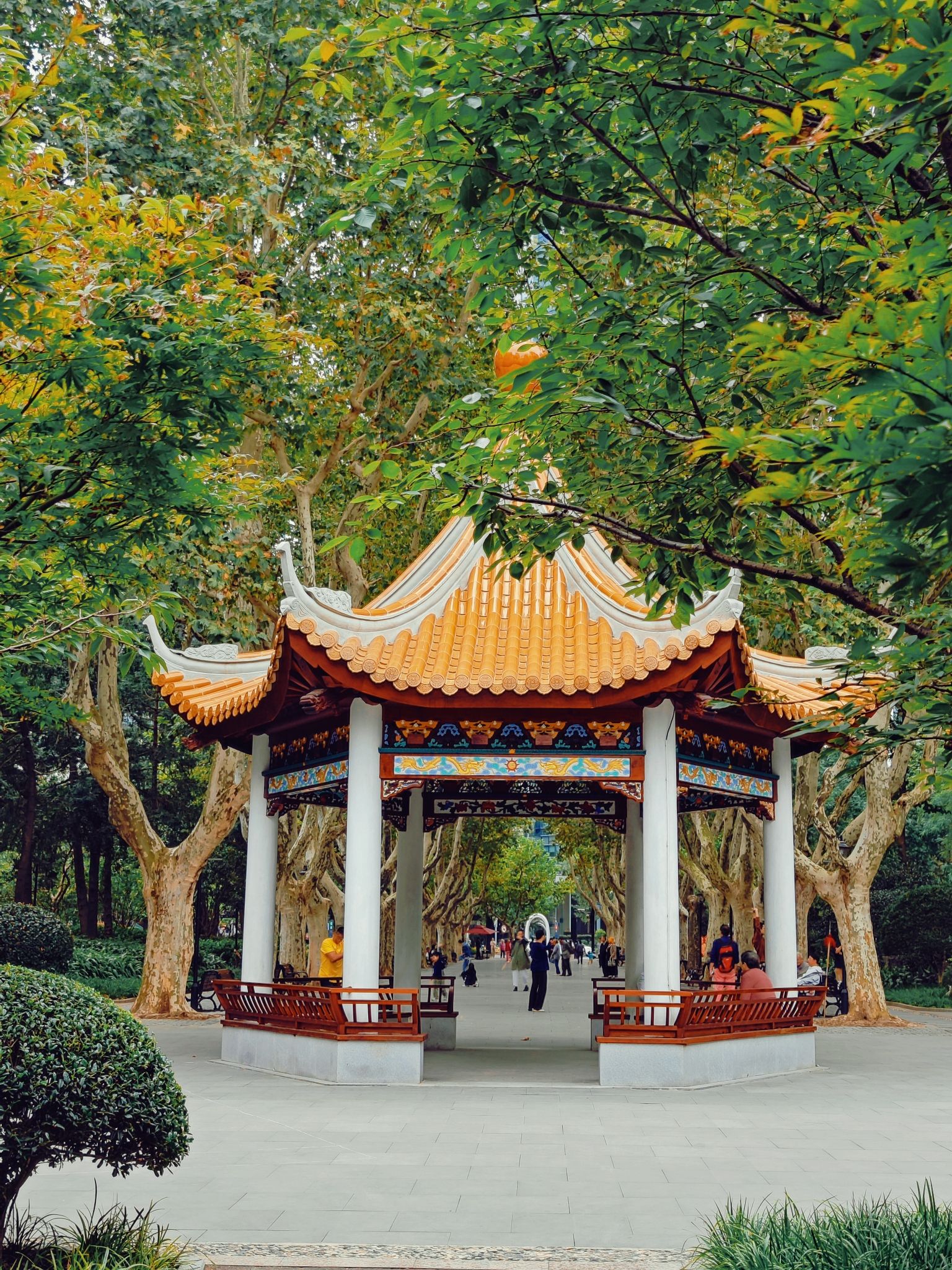 襄阳公园旅行图片 1