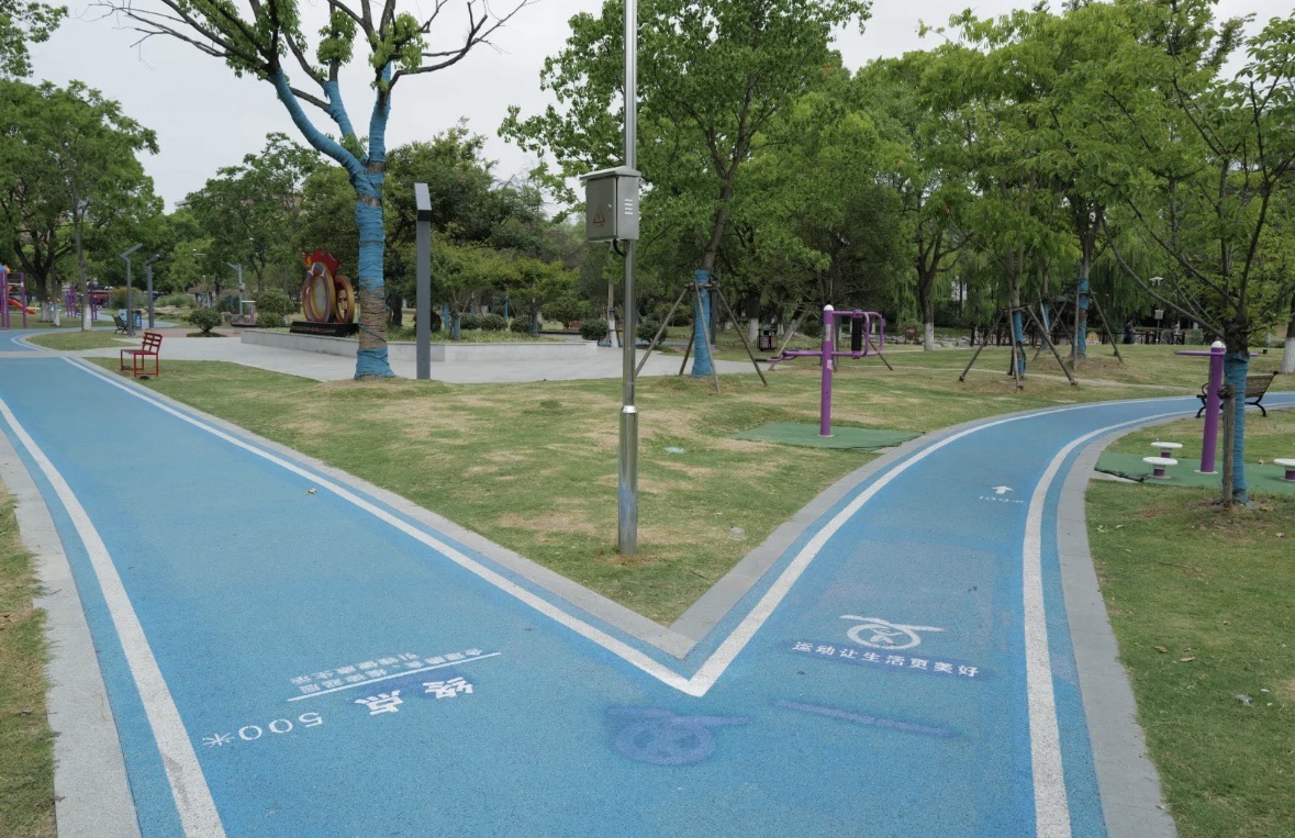 新桥公园旅行图片 3