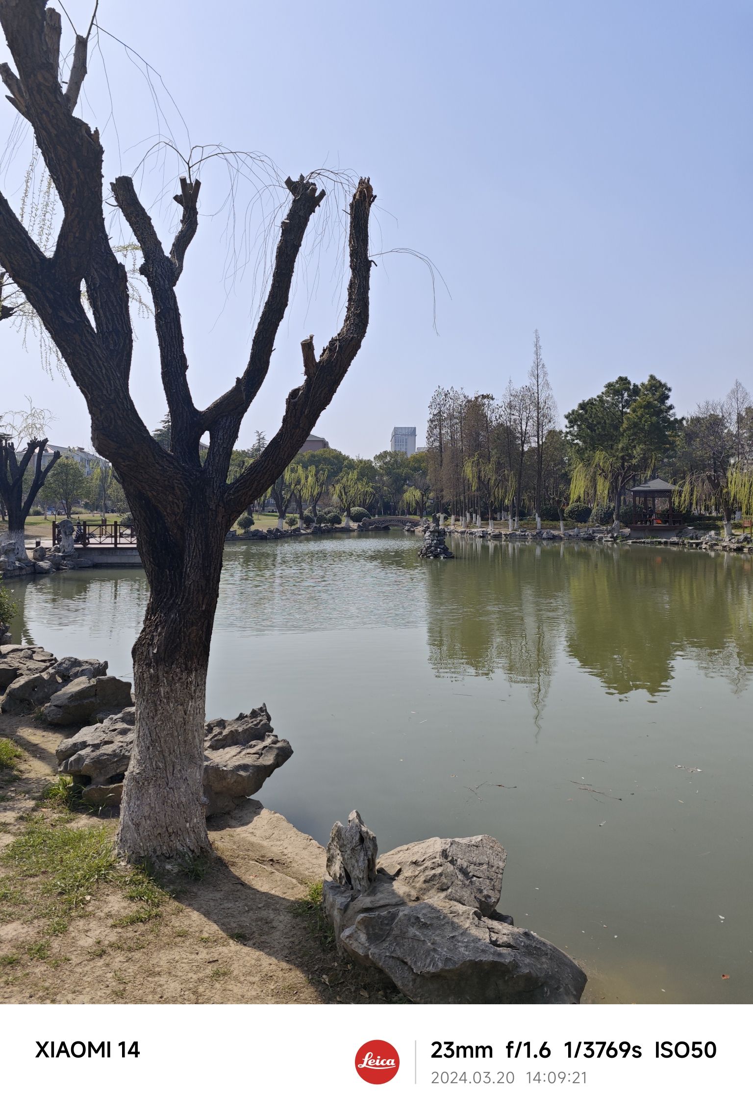 新桥公园旅行图片 3