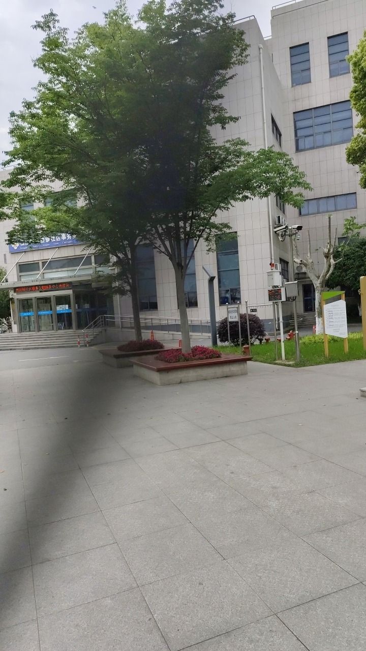 新桥公园旅行图片 3