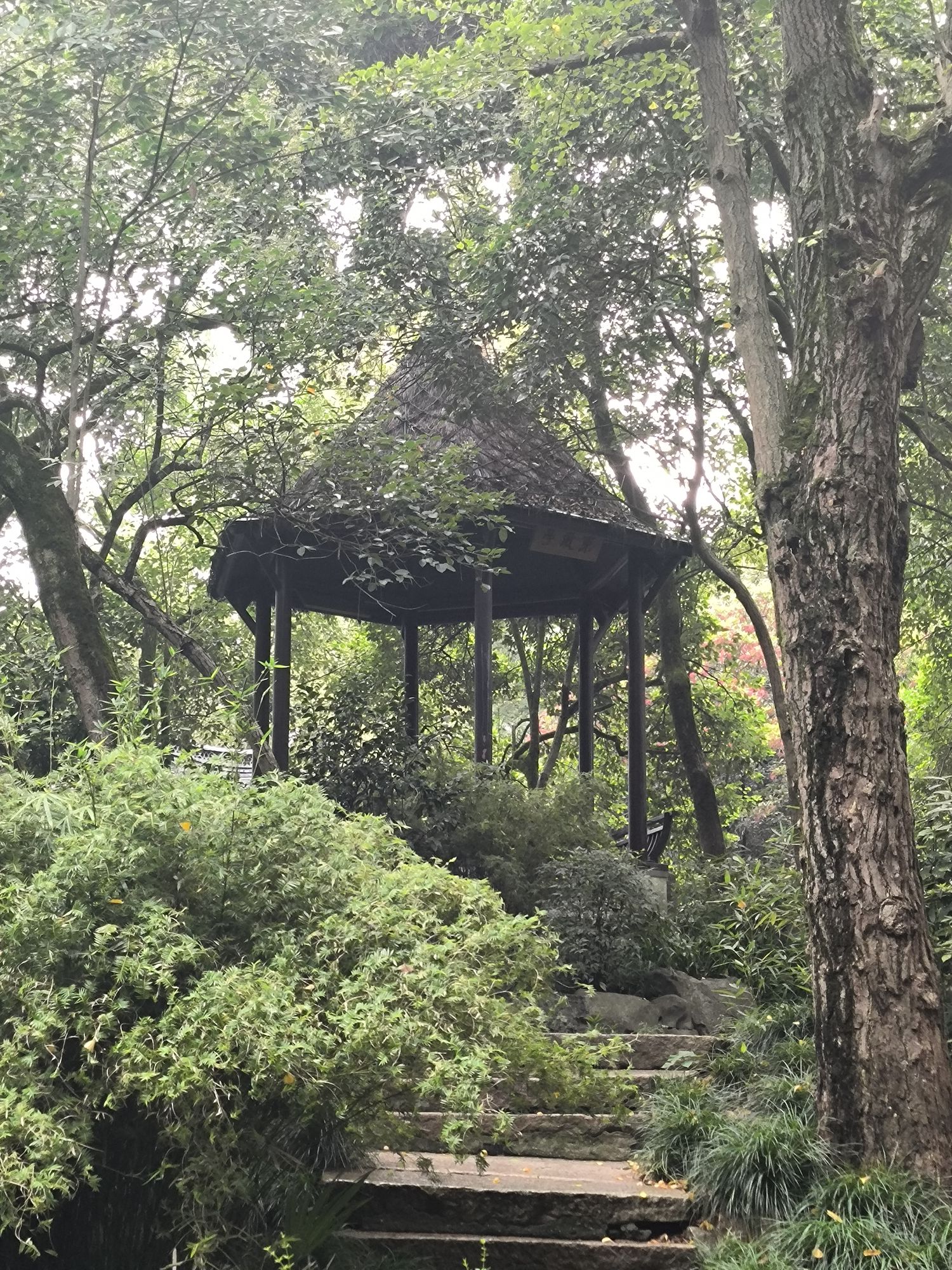 张堰公园旅行图片 2
