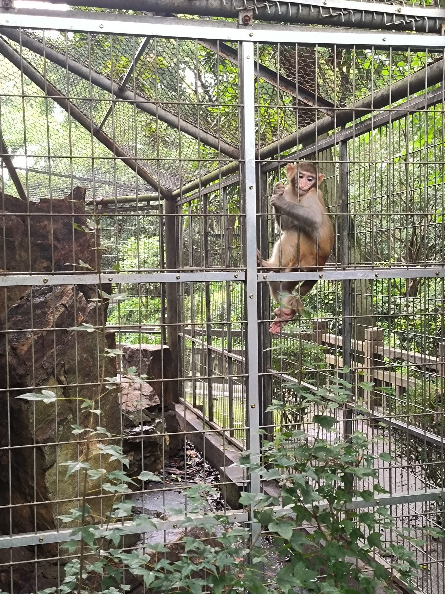 张堰公园旅行图片 1