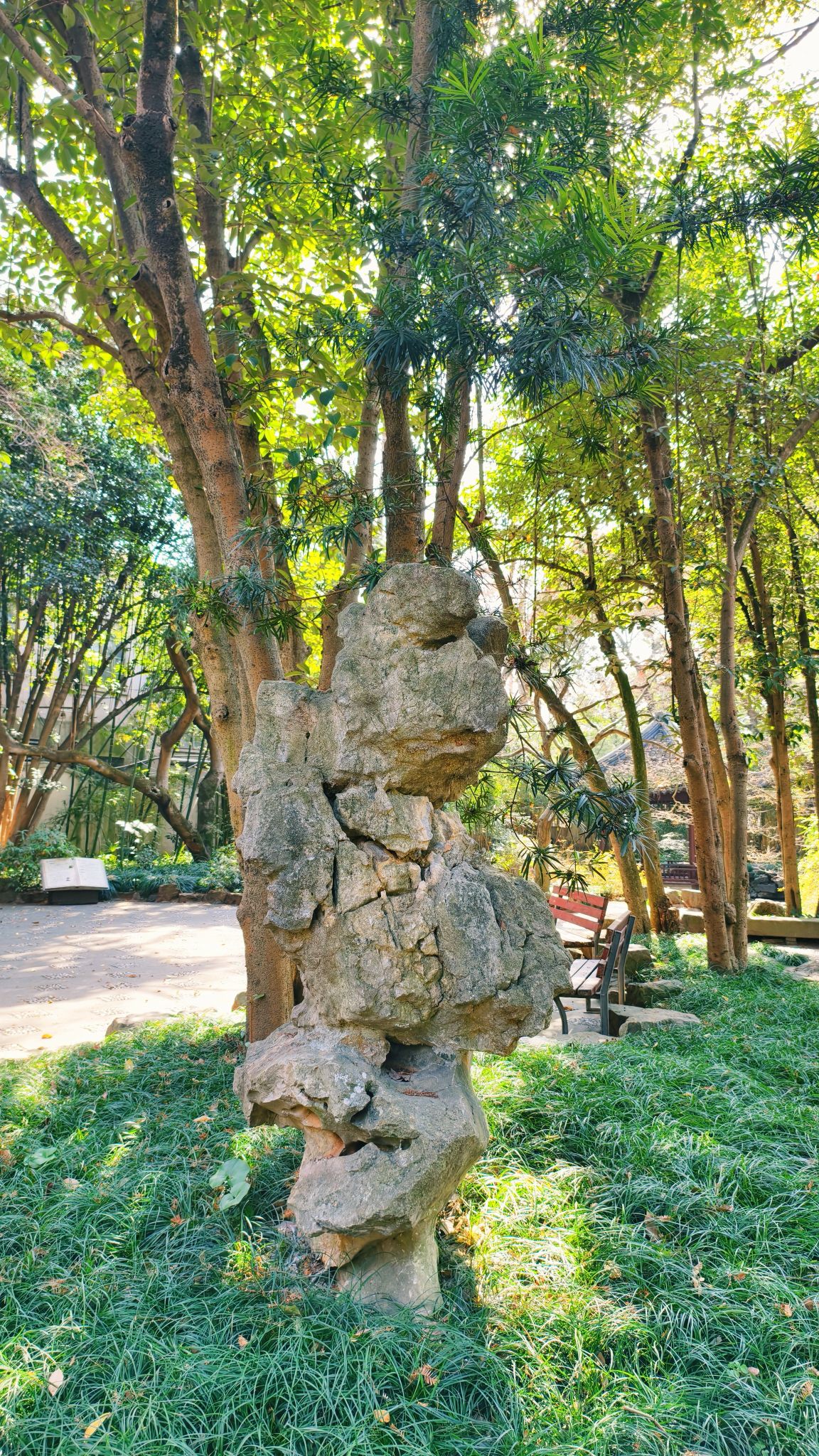 张堰公园旅行图片 1