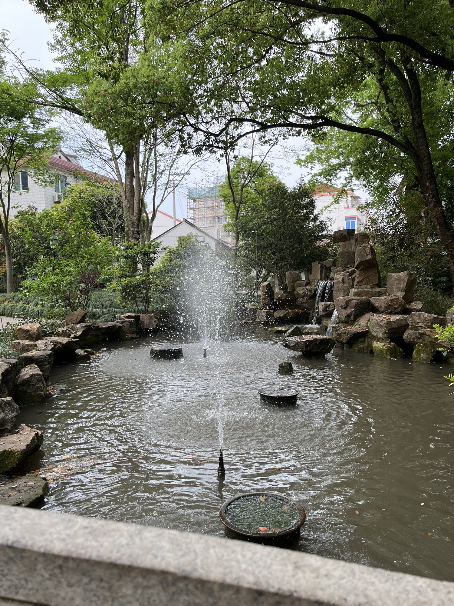 张堰公园旅行图片 3