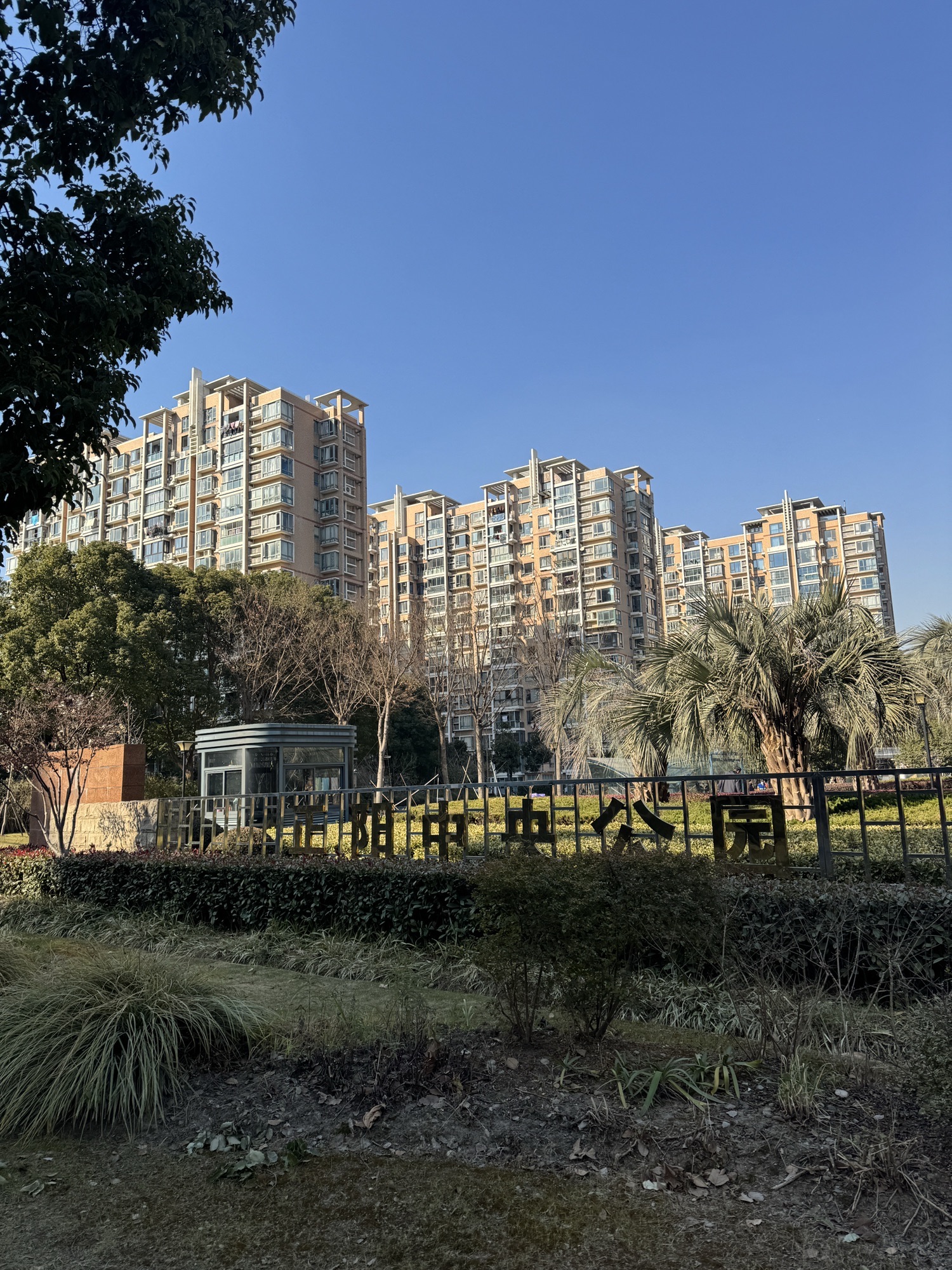正阳中央公园旅行图片 3