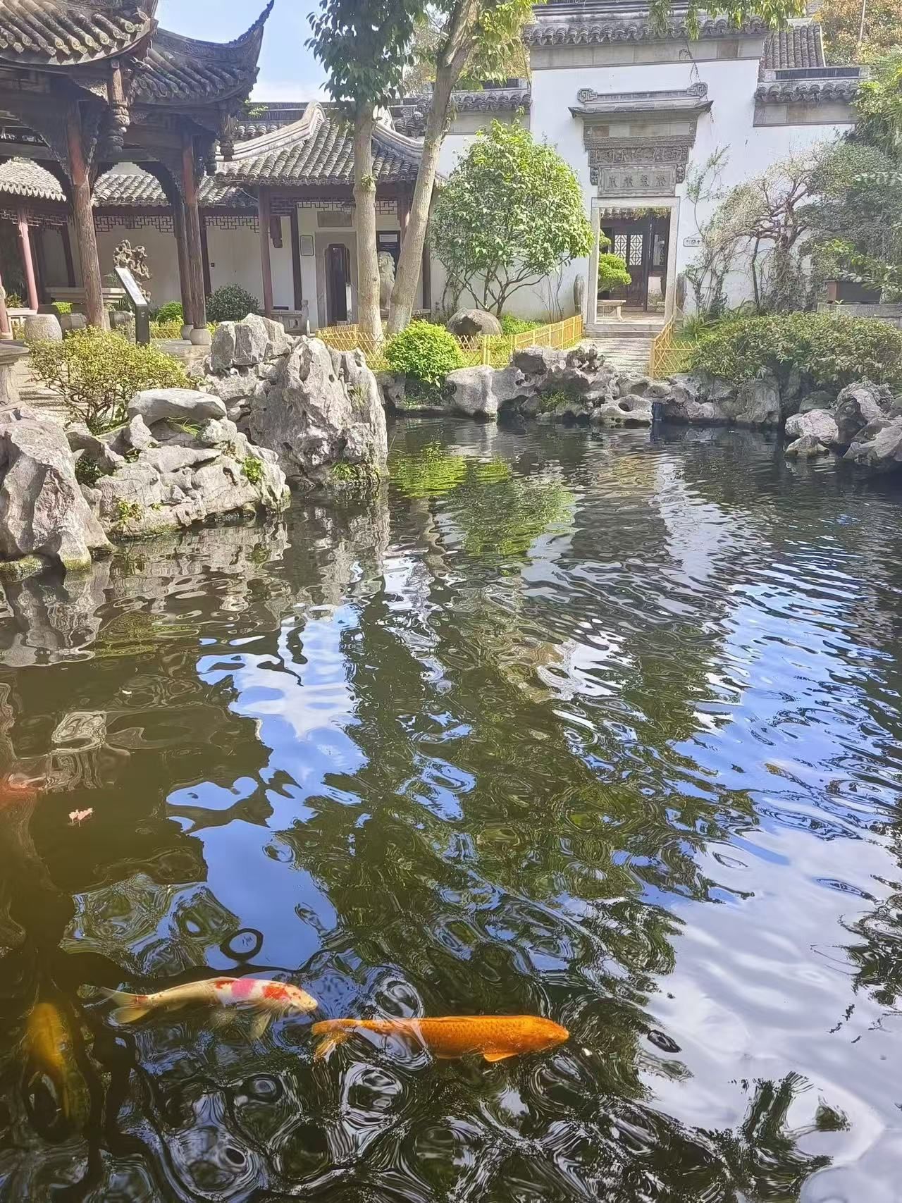 上海朱家角古镇旅游区旅行图片 1