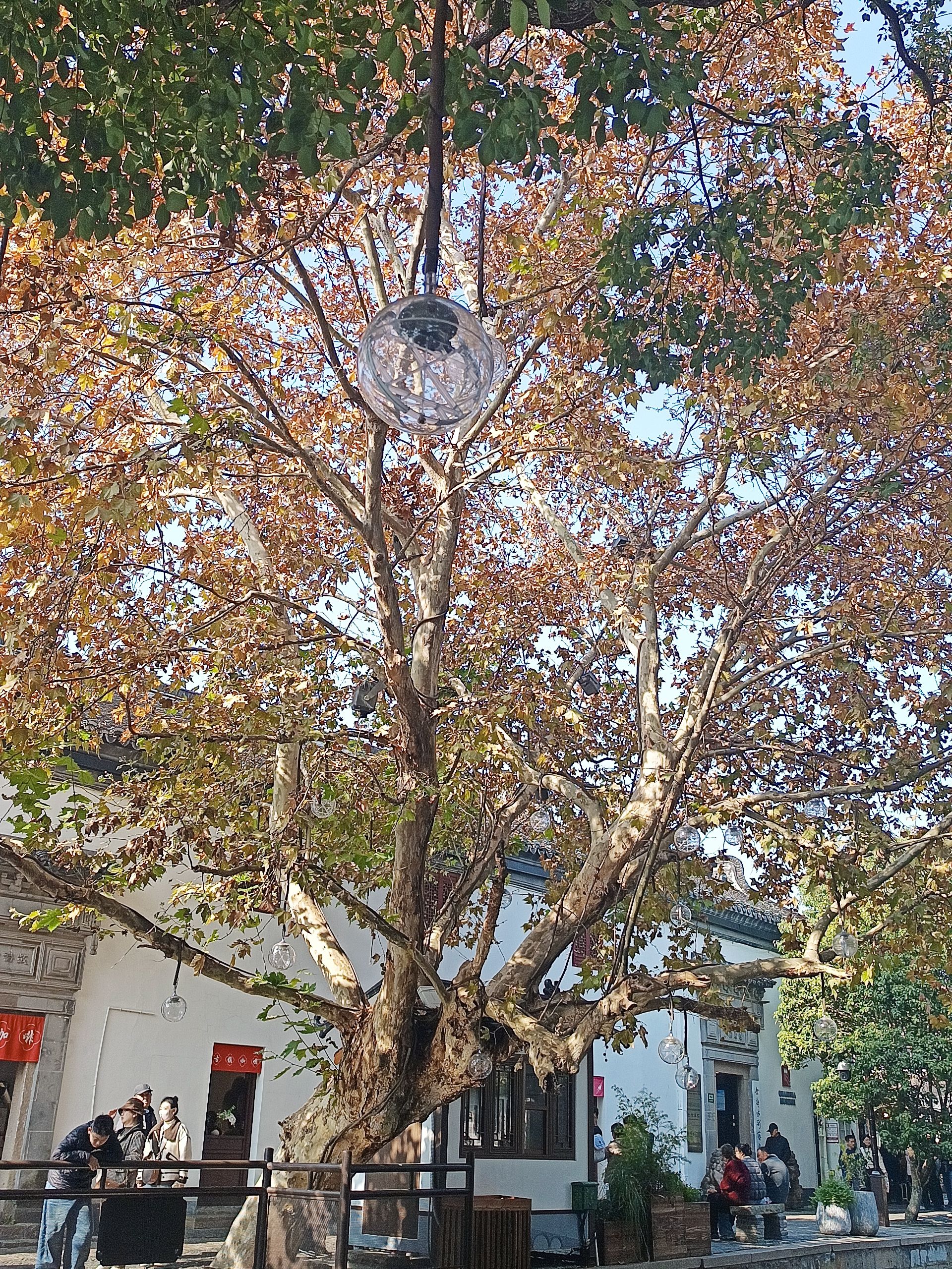 上海朱家角古镇旅游区旅行图片 1