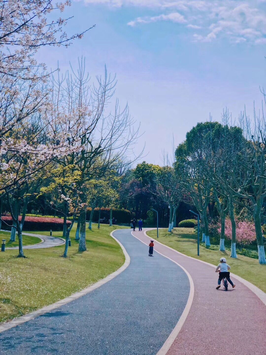 闵行公园旅行图片 2