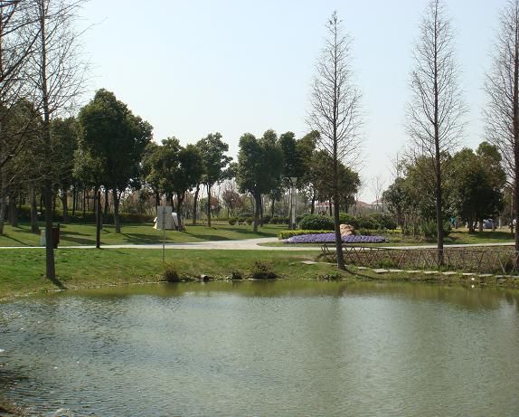 闵行公园旅行图片 3