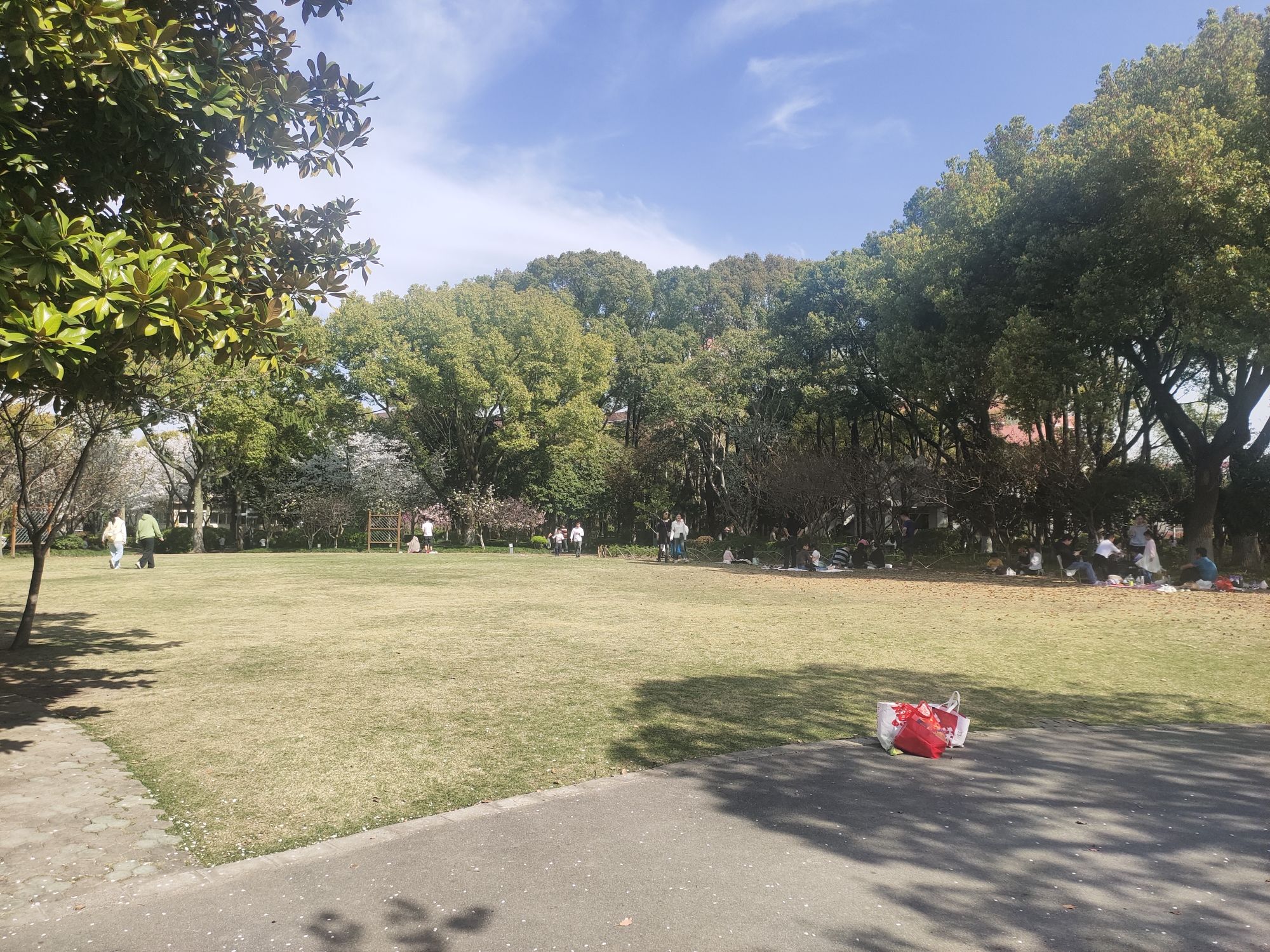 闵行公园旅行图片 1