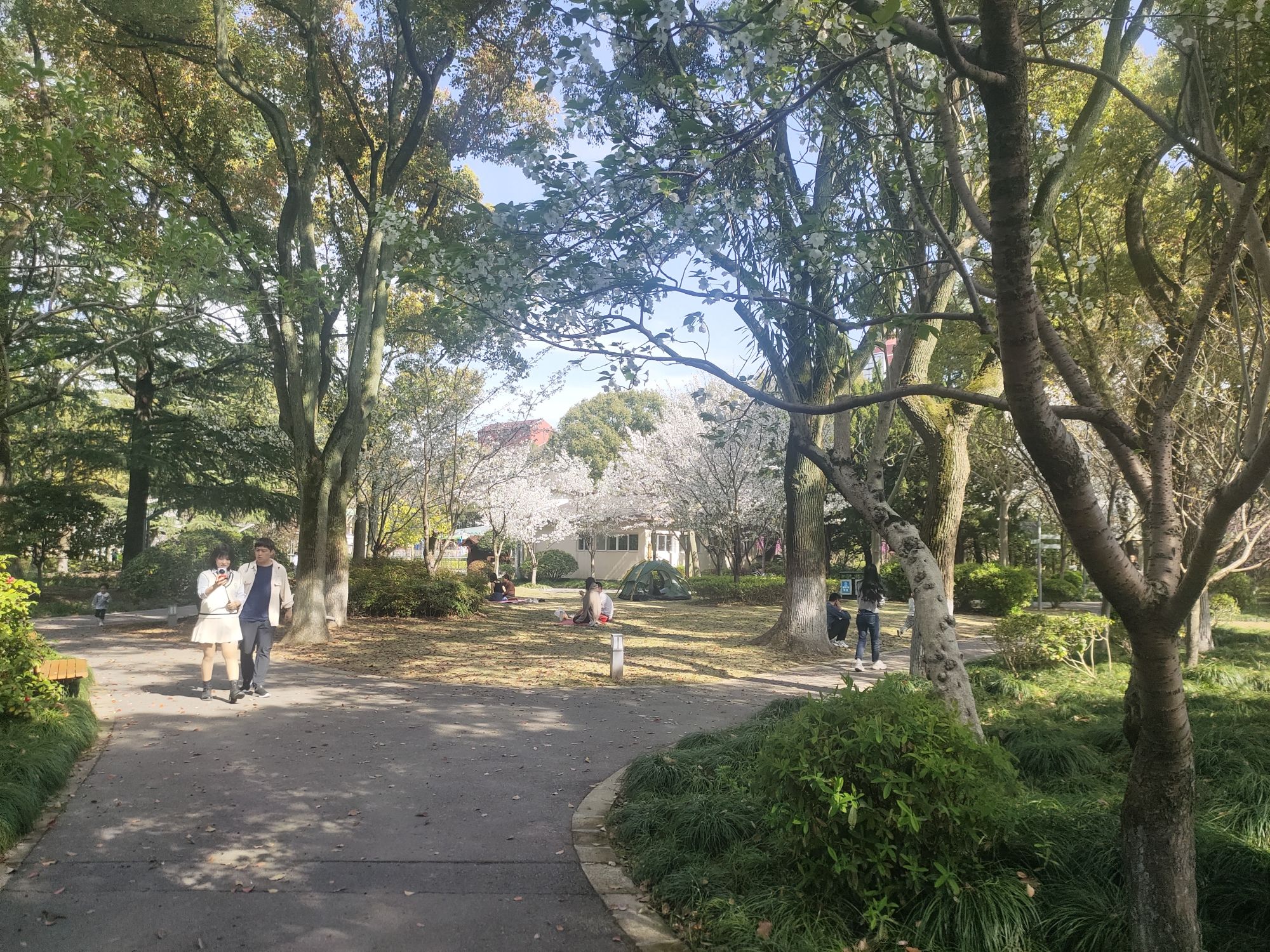 闵行公园旅行图片 3