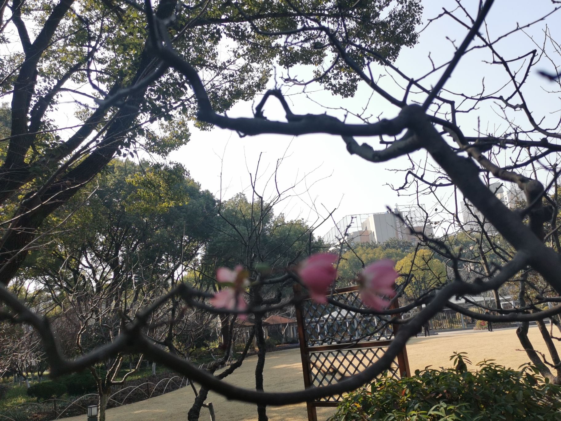 闵行公园旅行图片 3