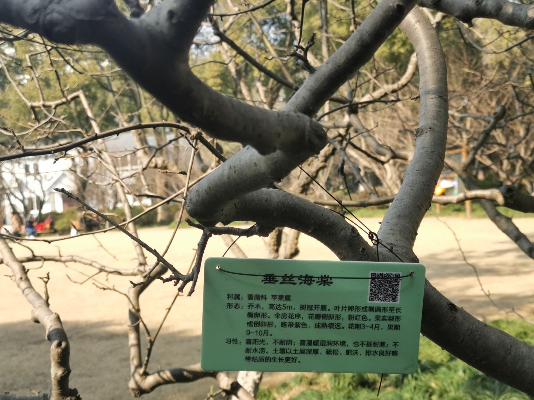 闵行公园旅行图片 2
