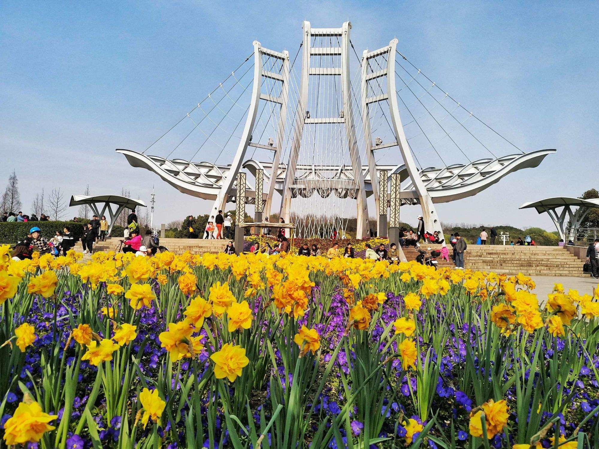 闵行公园旅行图片 1