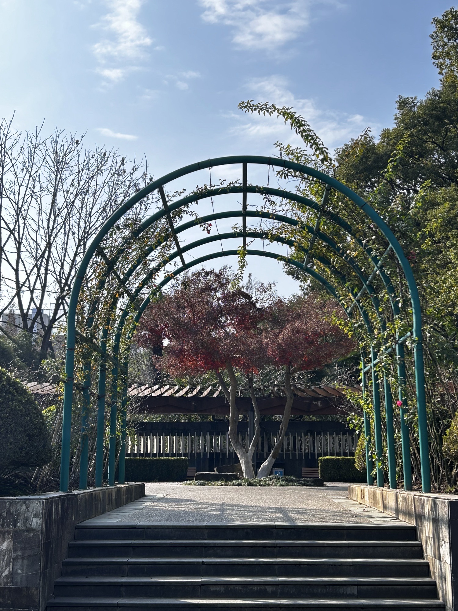 闵行公园旅行图片 1