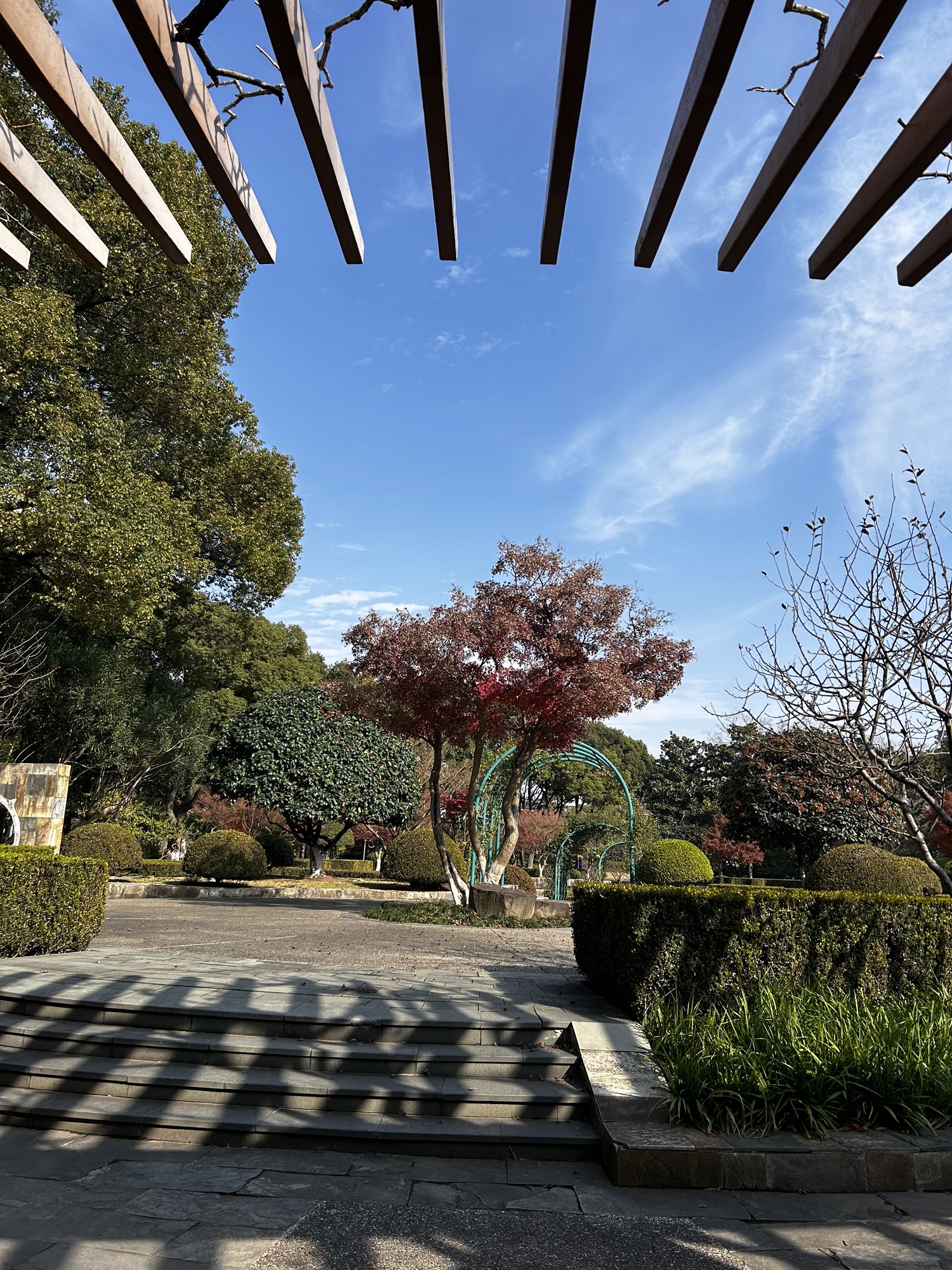 闵行公园旅行图片 3