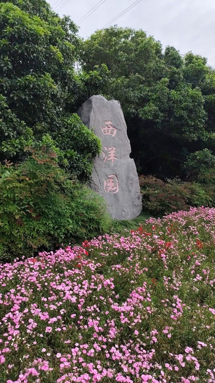闵行开发区生态公园西洋园·企业园旅行图片 1