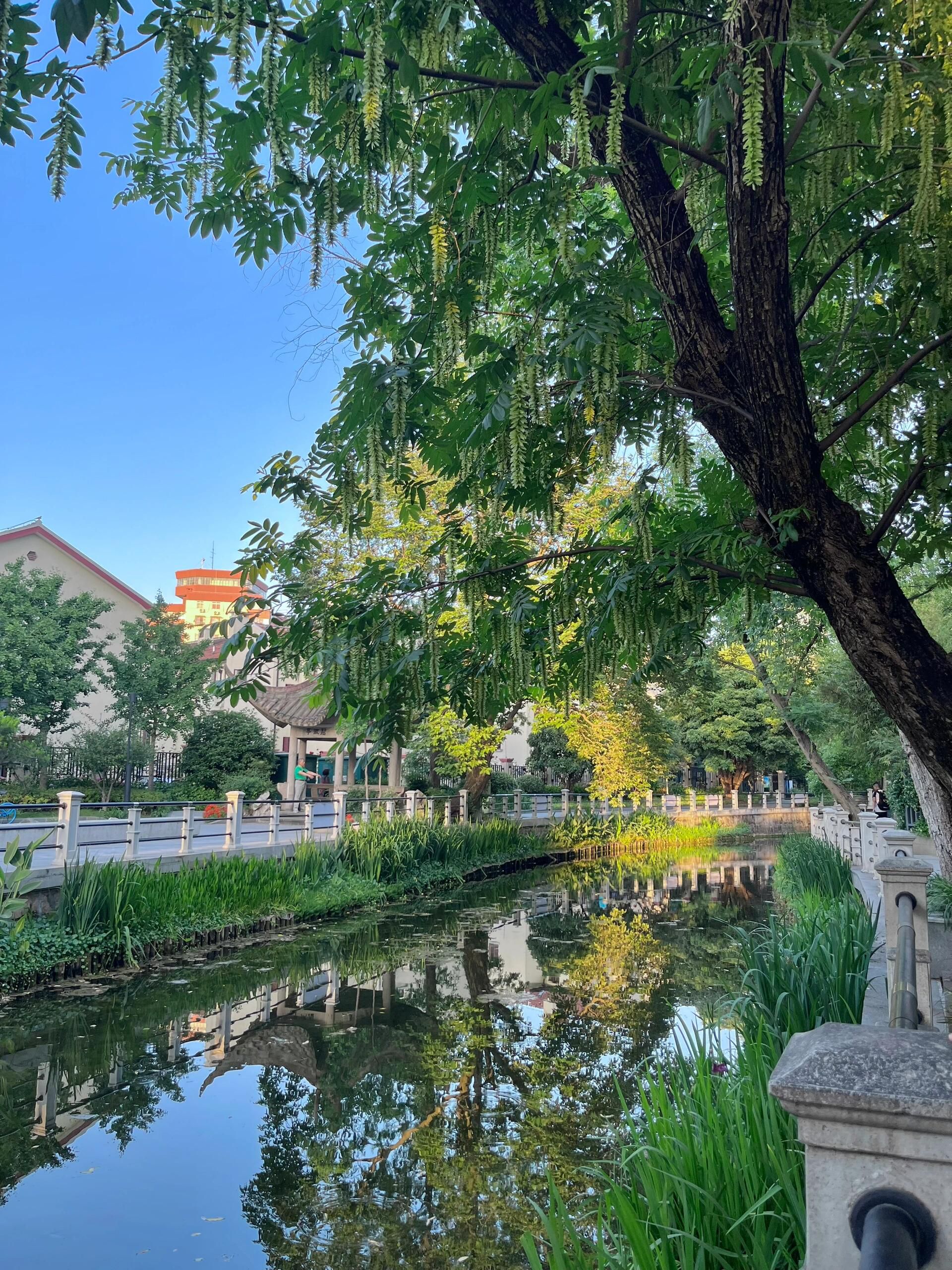 曹杨公园旅行图片 1