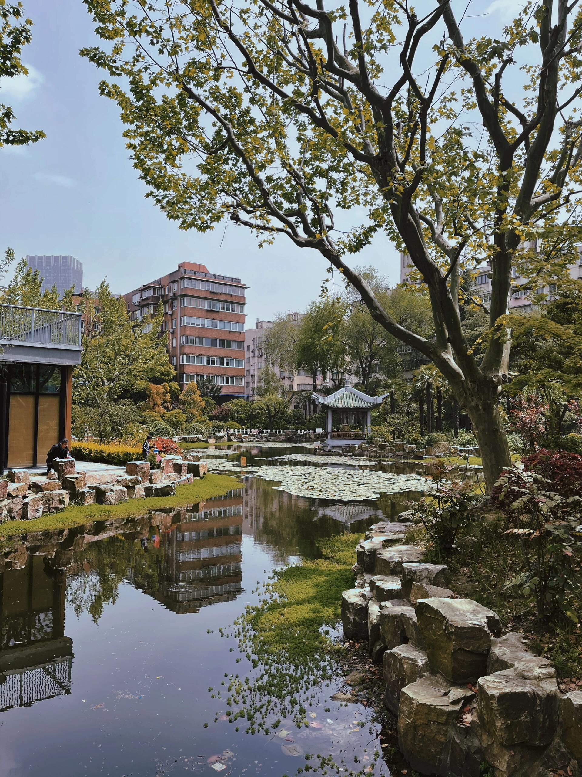 曹杨公园旅行图片 2