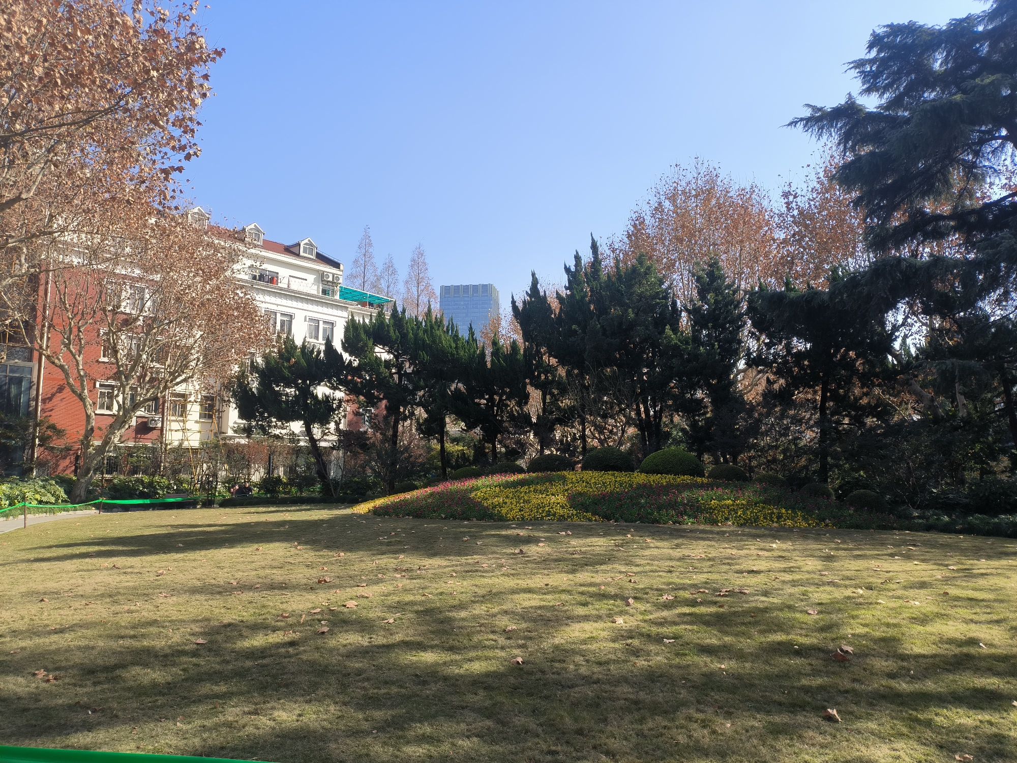 曹杨公园旅行图片 2