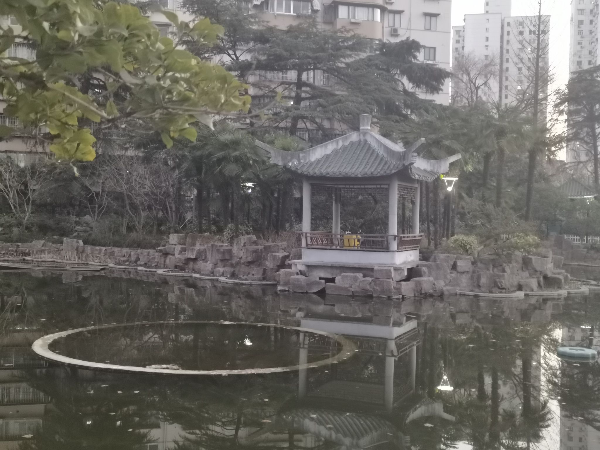 曹杨公园旅行图片 2