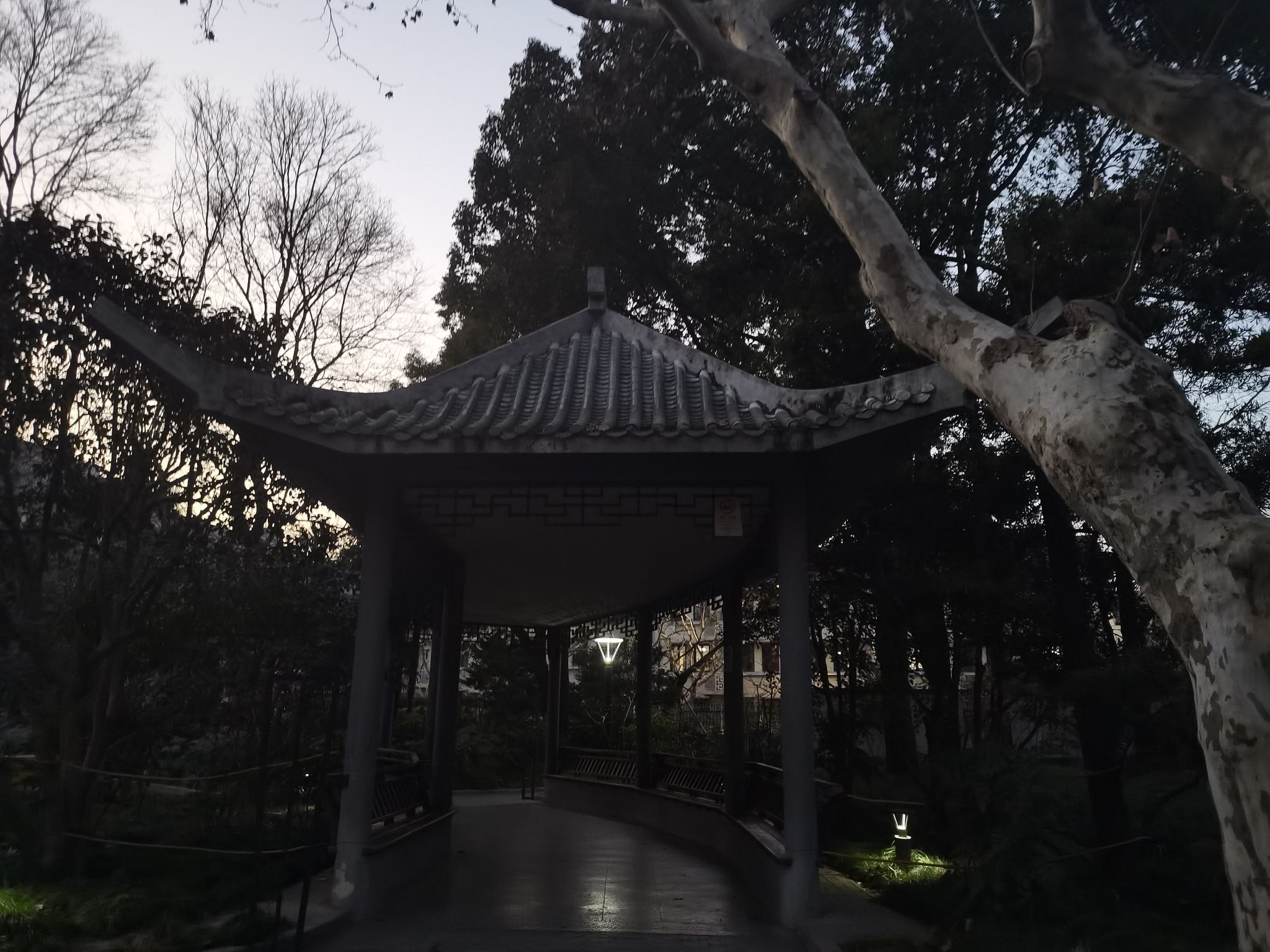 曹杨公园旅行图片 3