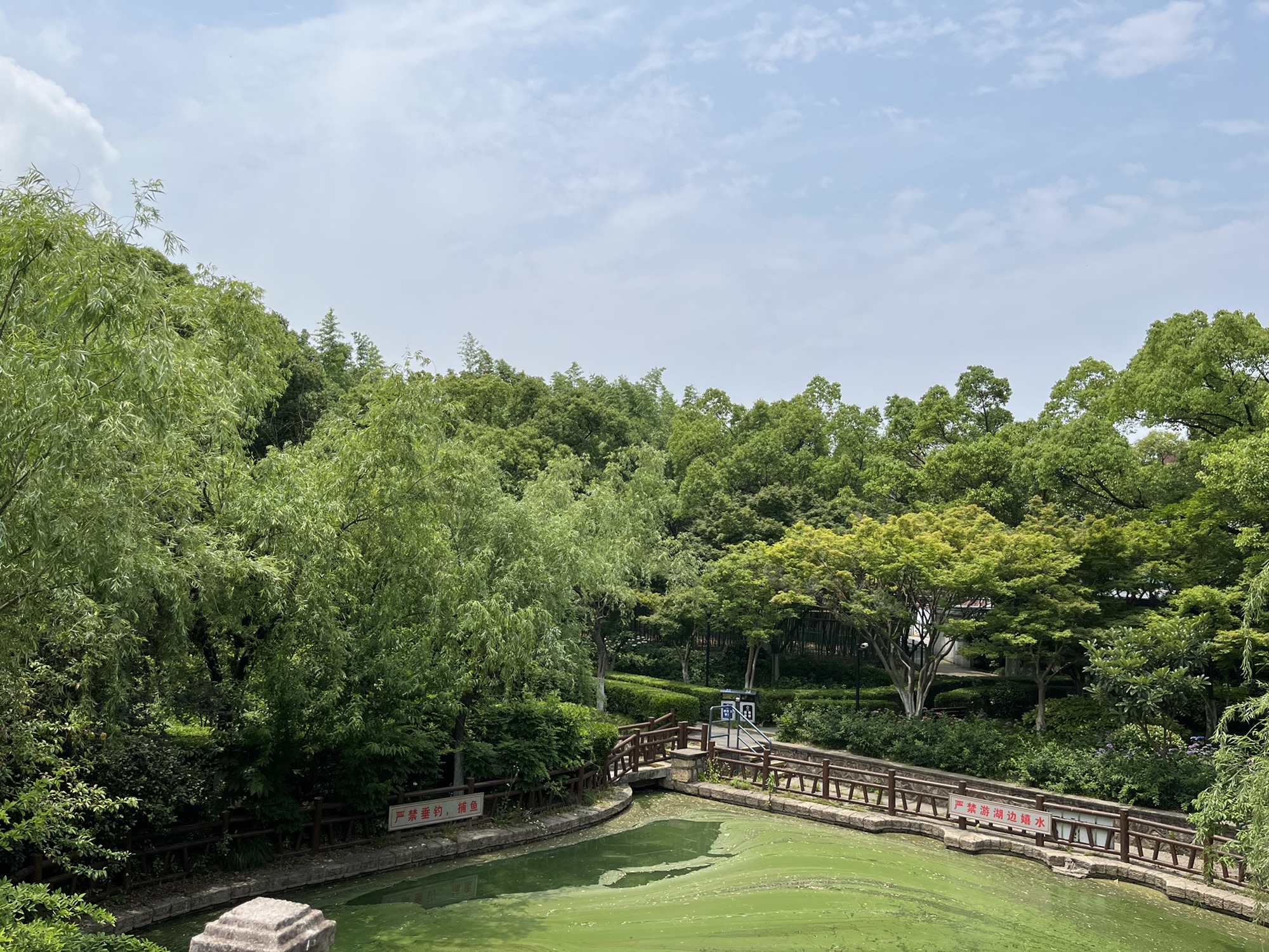 高桥公园旅行图片 1