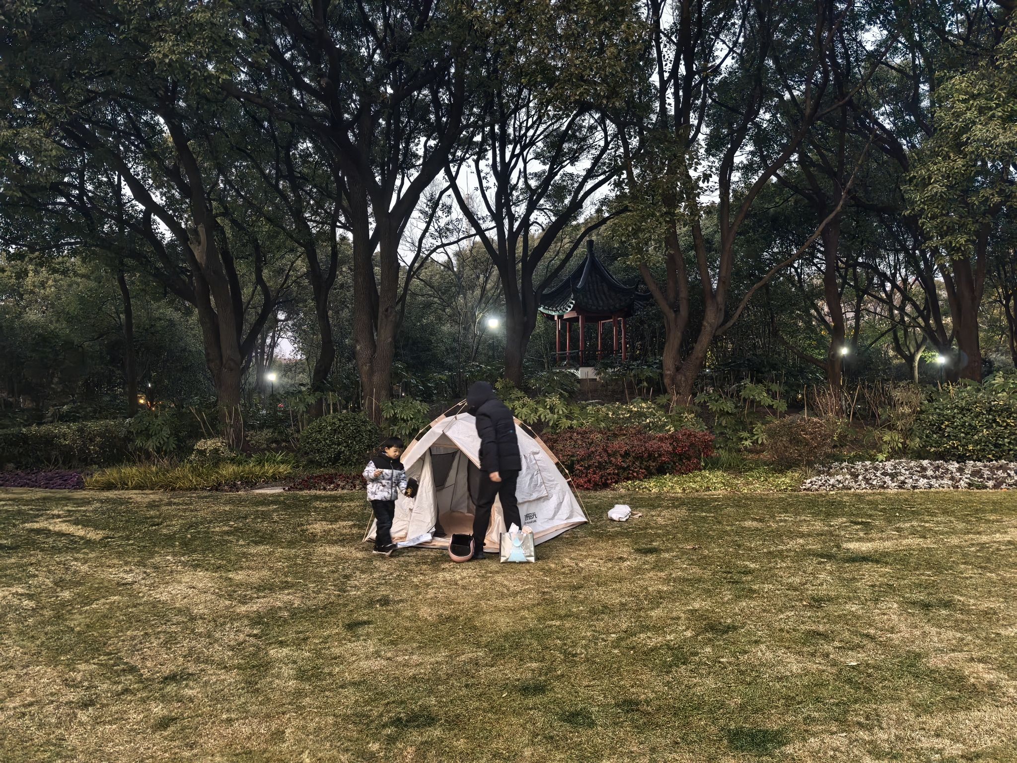 高桥公园旅行图片 1