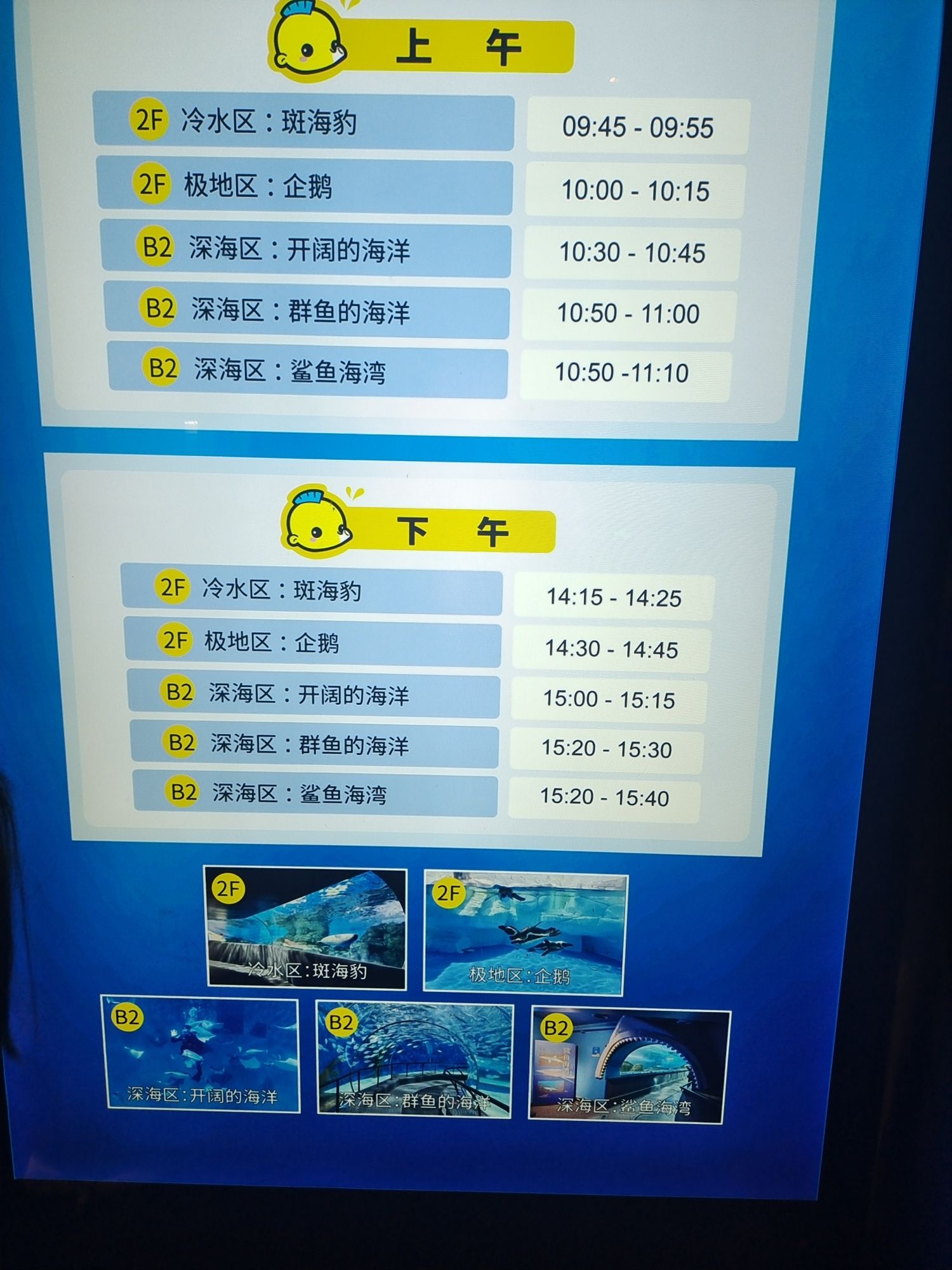 上海海洋水族馆旅行图片 3