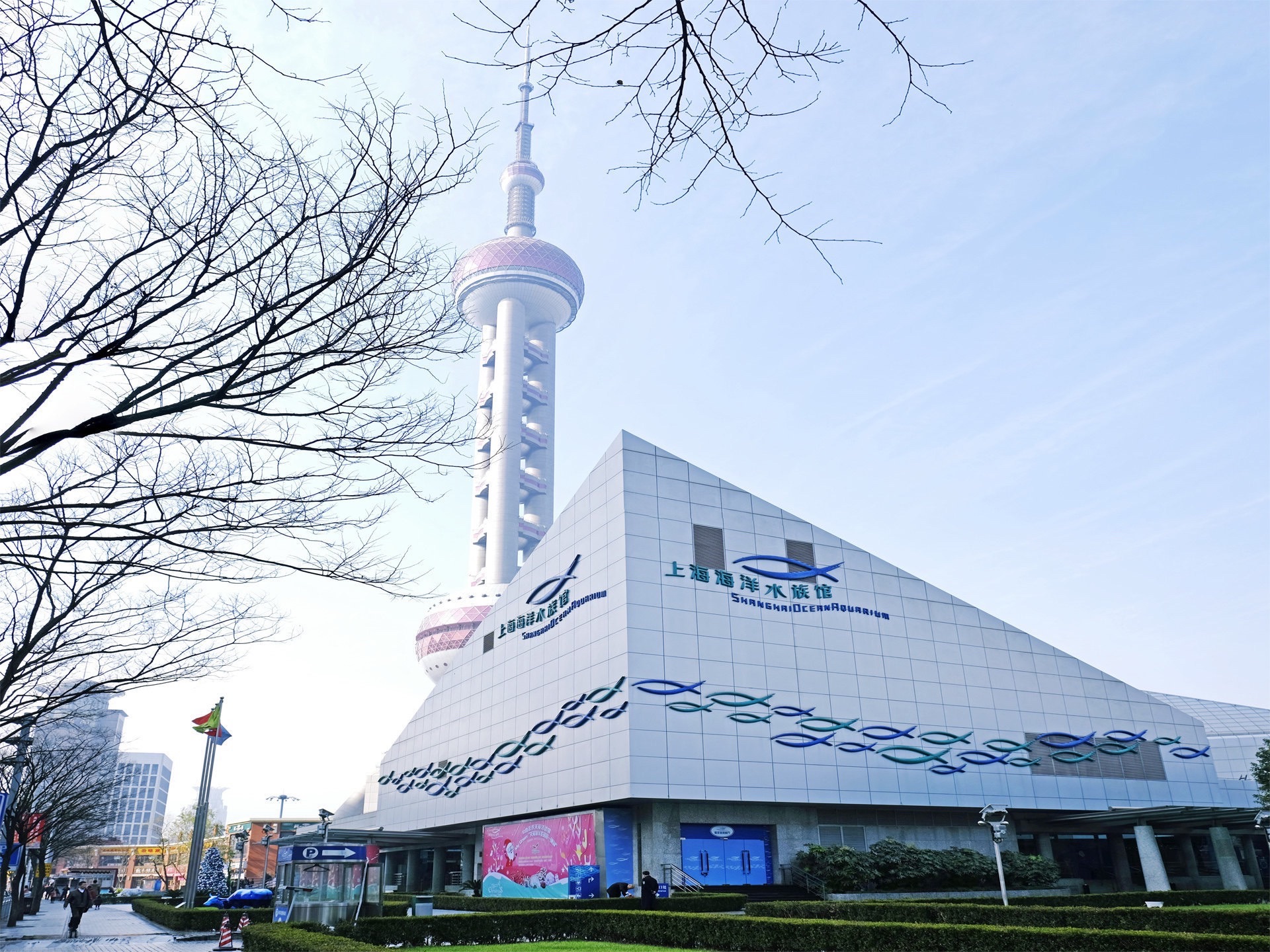 上海海洋水族馆