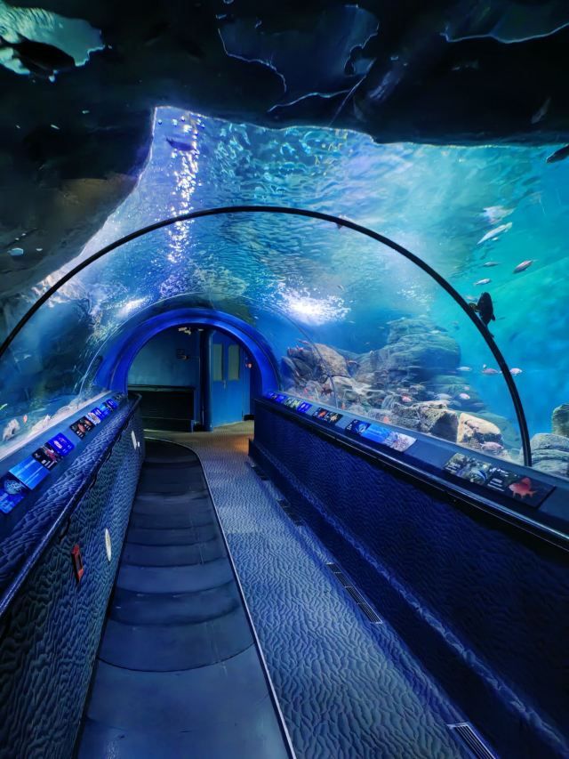 上海海洋水族馆旅行图片 1