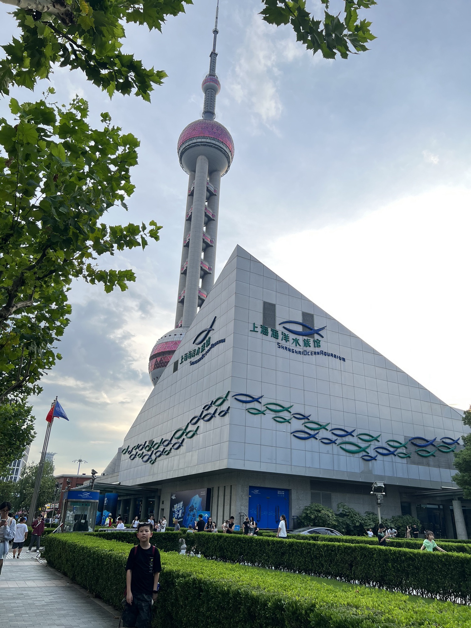 上海海洋水族馆现场照片 14