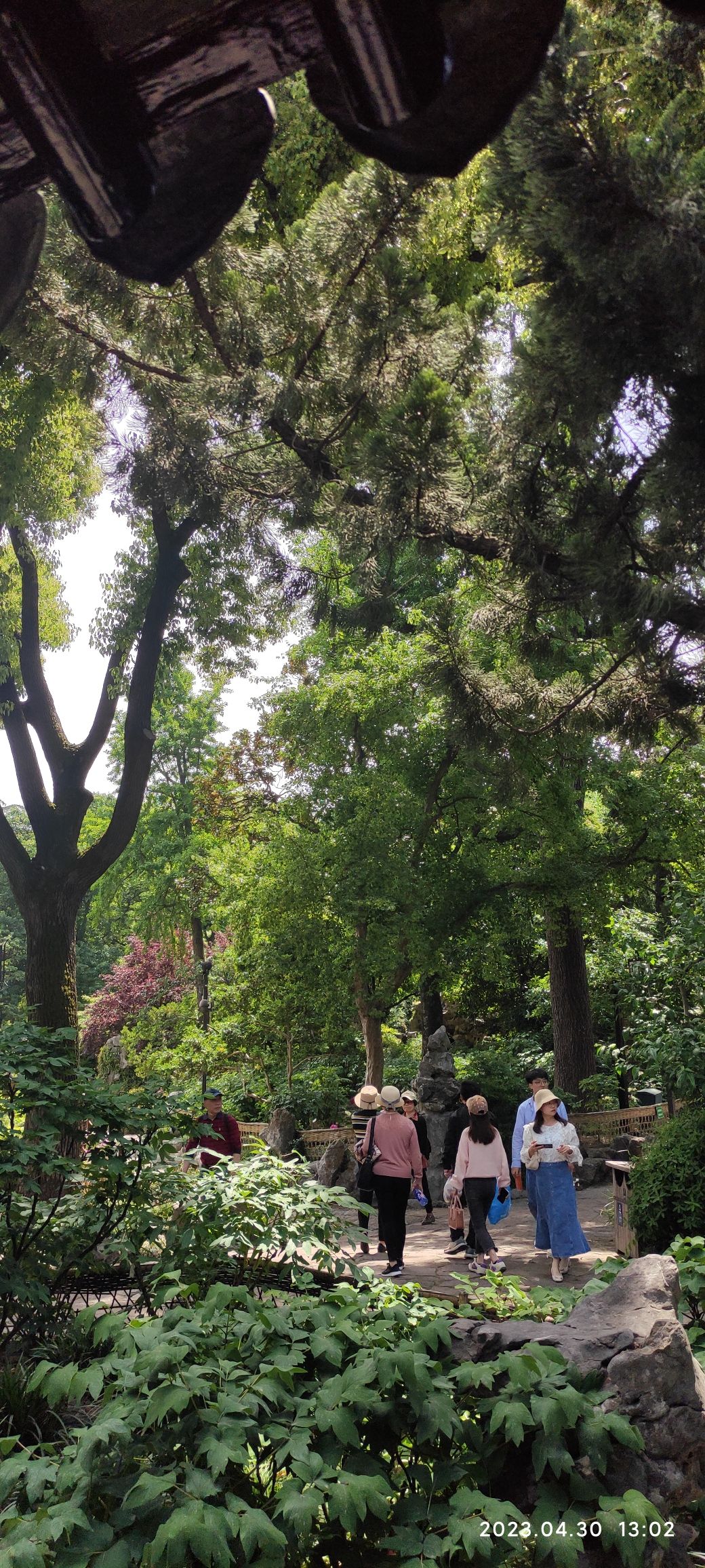 金沙公园旅行图片 3