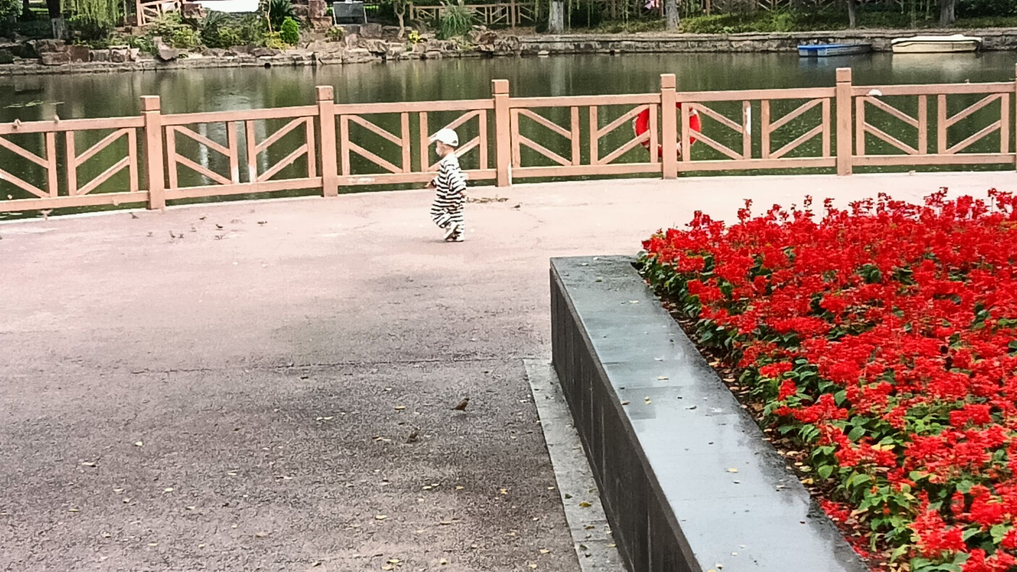 岭南公园旅行图片 2