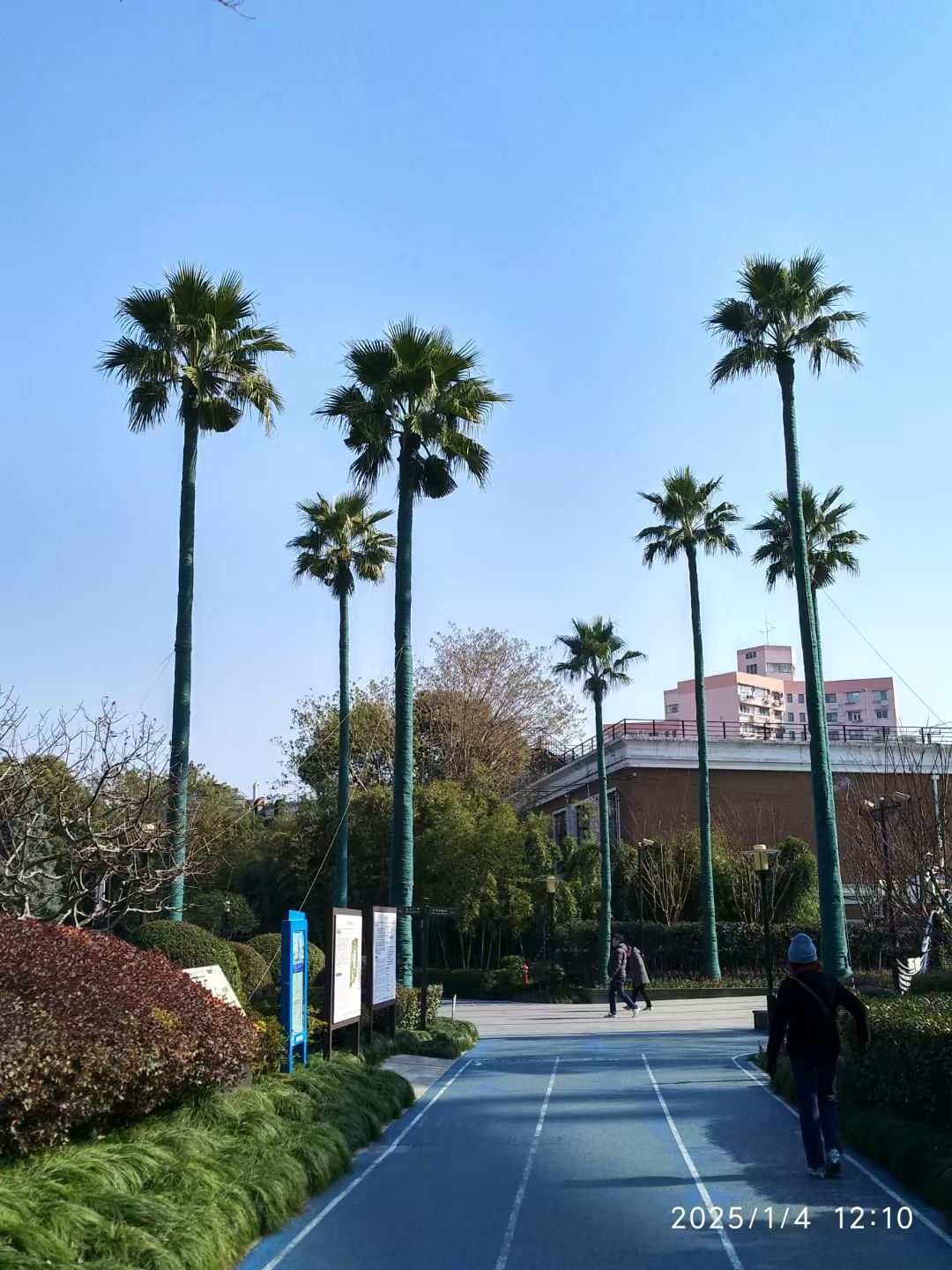 岭南公园旅行图片 1