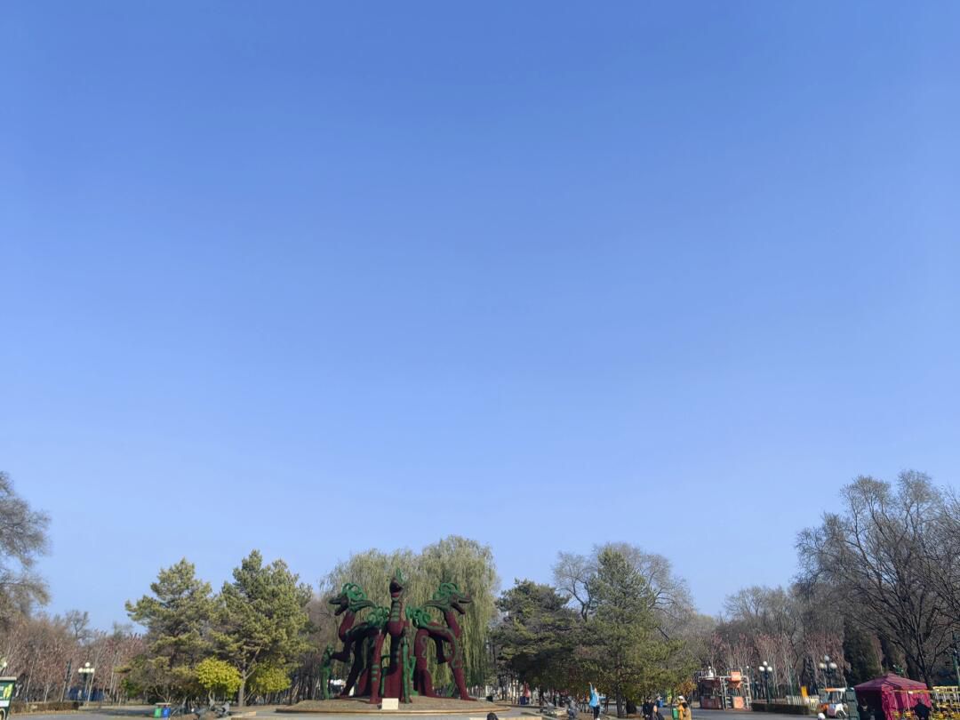 太阳岛旅游度假区旅行图片 1