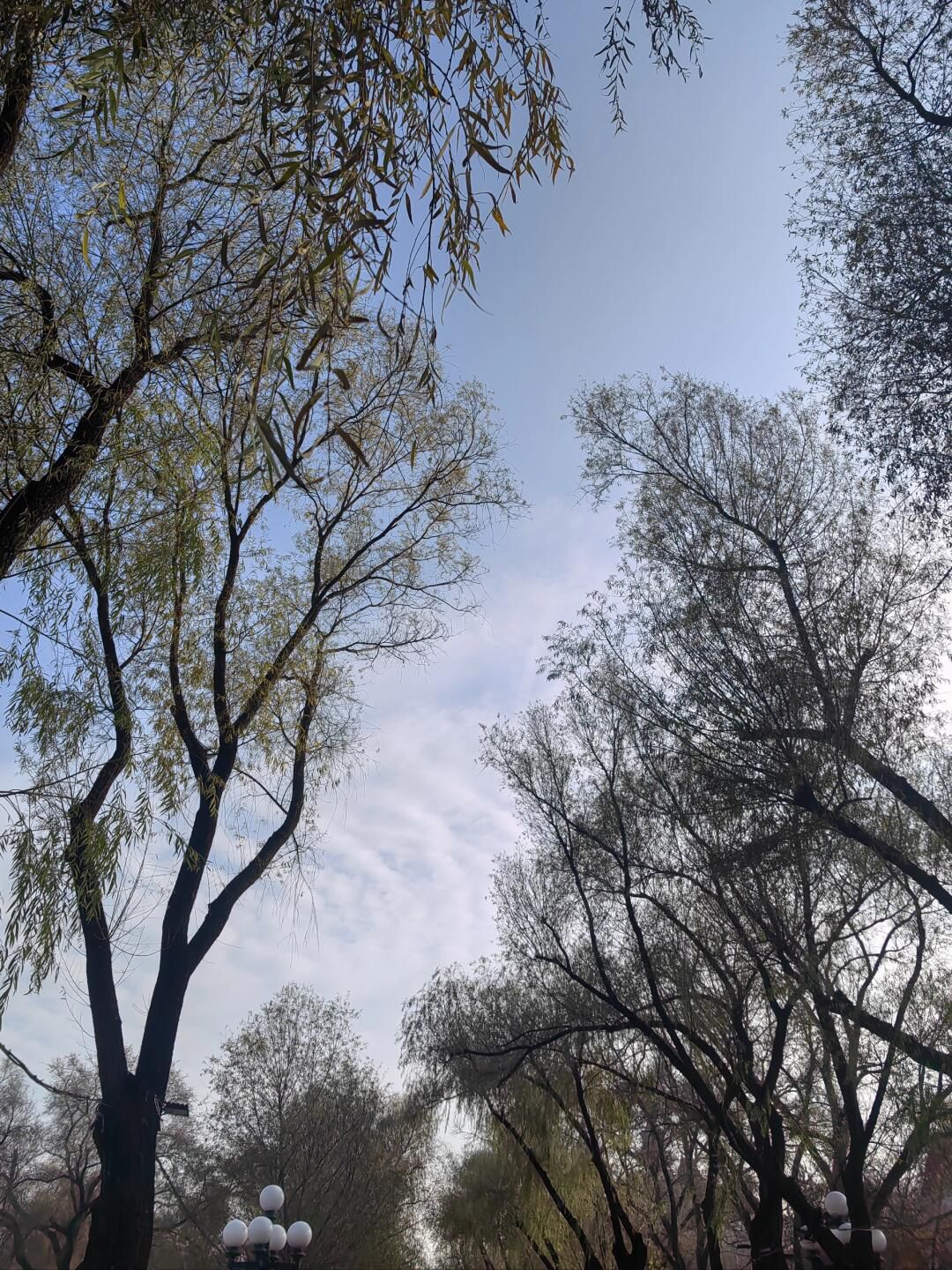 太阳岛旅游度假区旅行图片 2