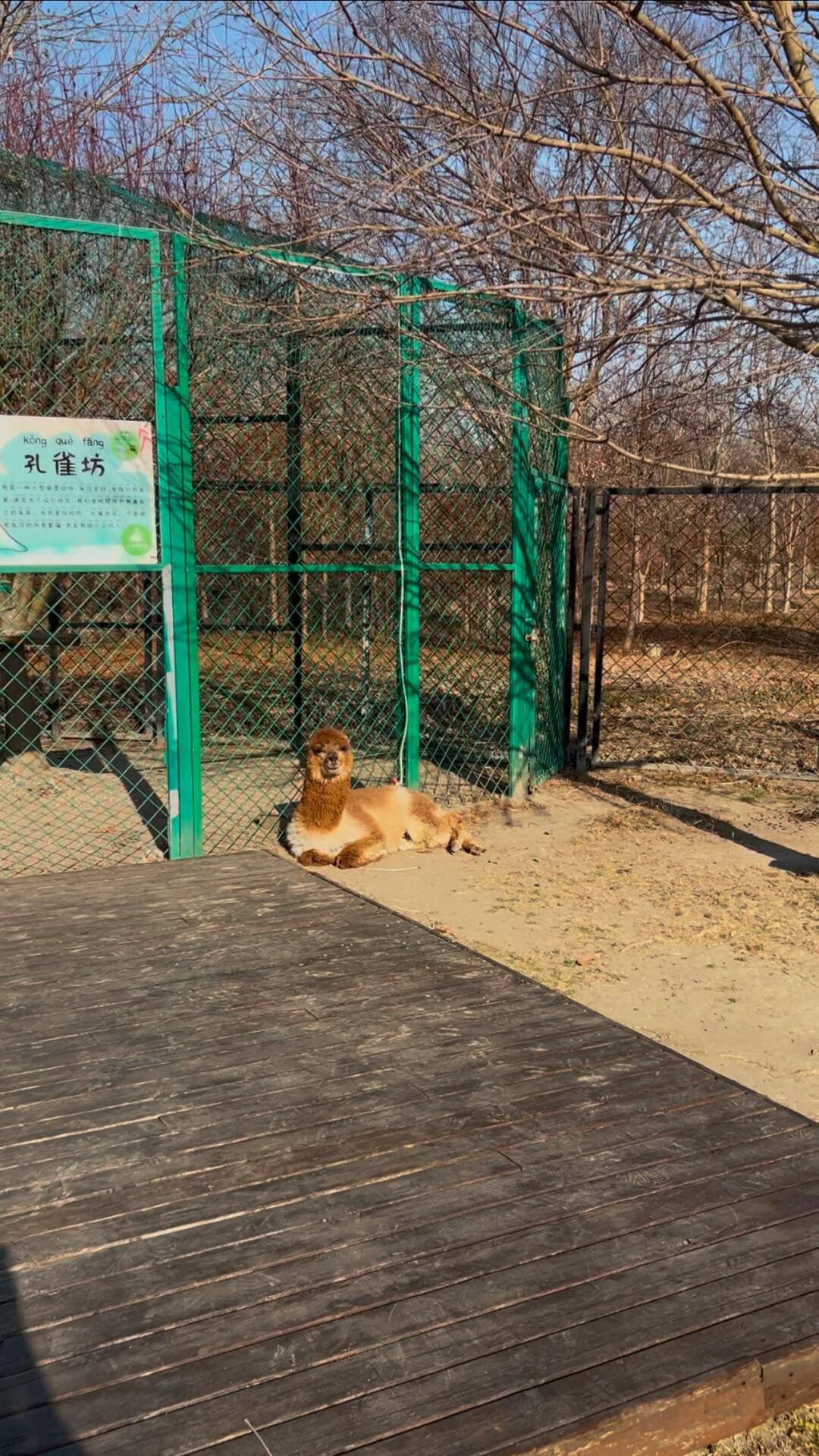 太阳岛旅游度假区旅行图片 2