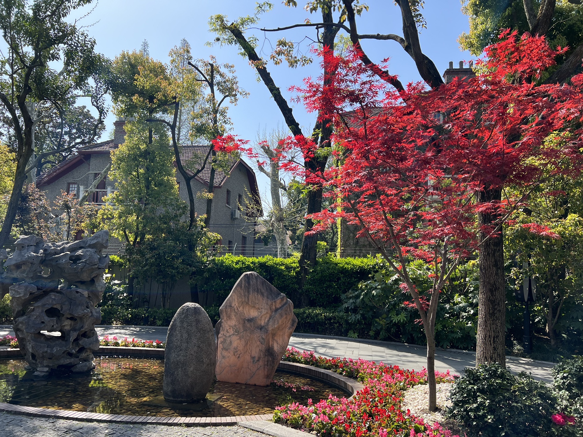 中共代表团驻沪办事处纪念馆旅行图片 2