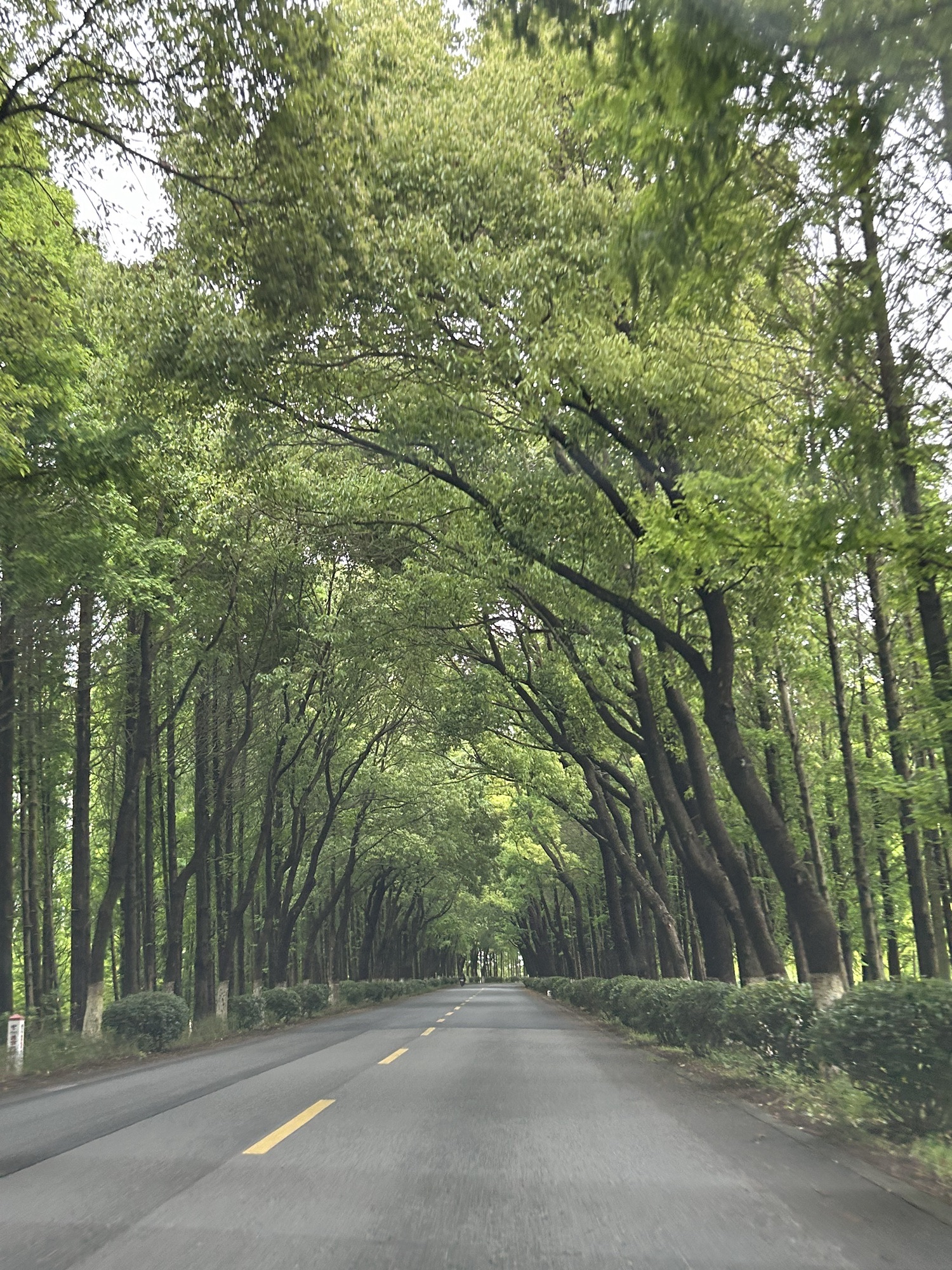 金山城市沙滩旅行图片 2