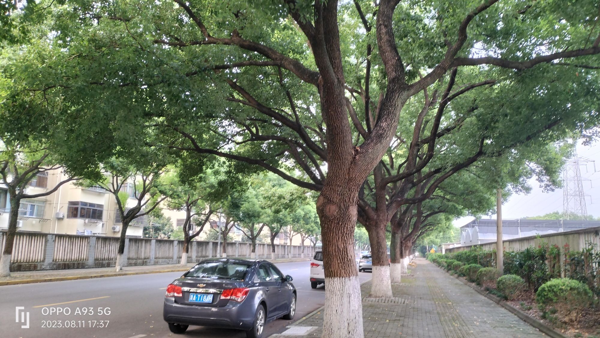 金塔公园旅行图片 2