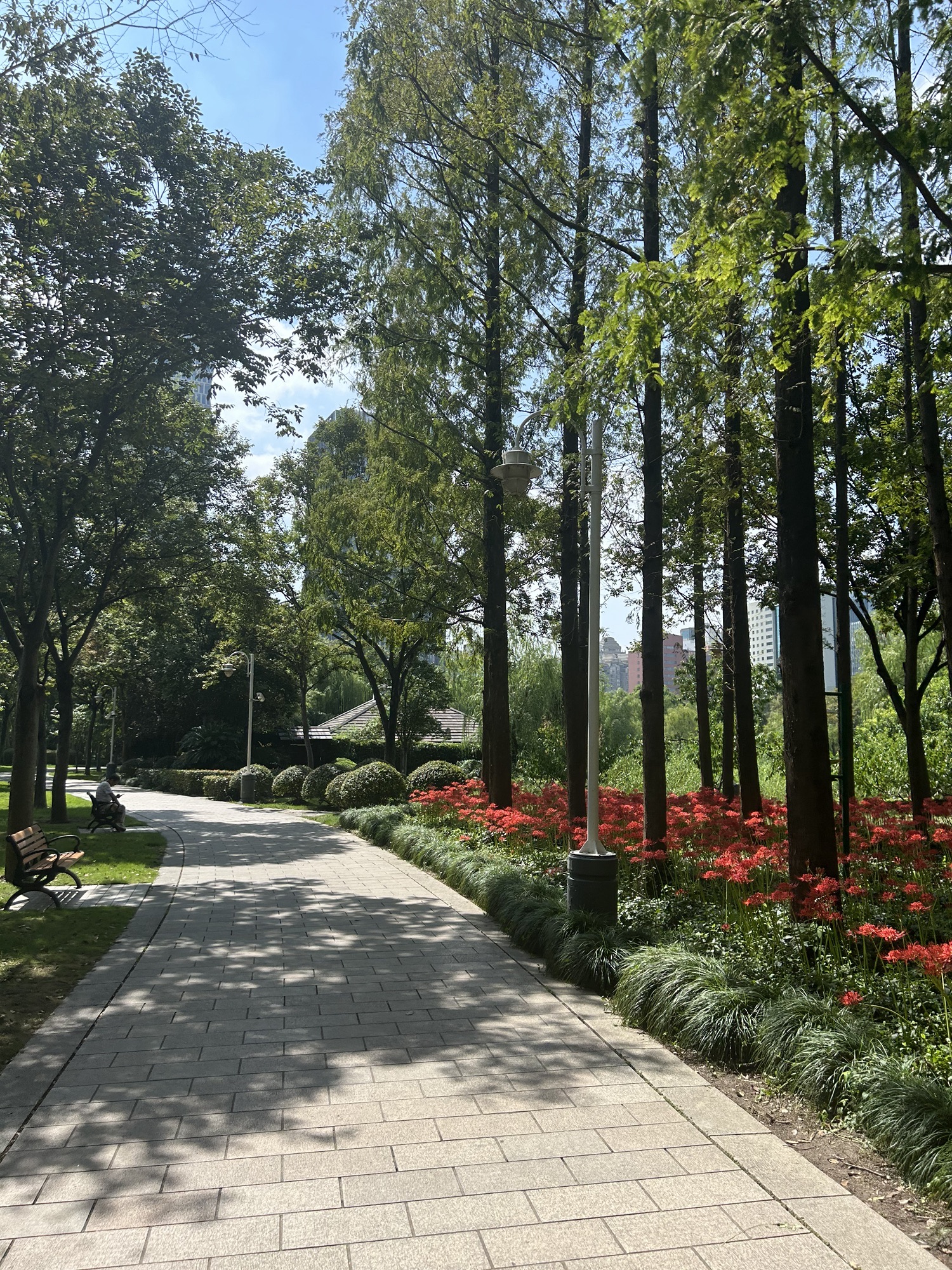 新虹桥中心花园旅行图片 3